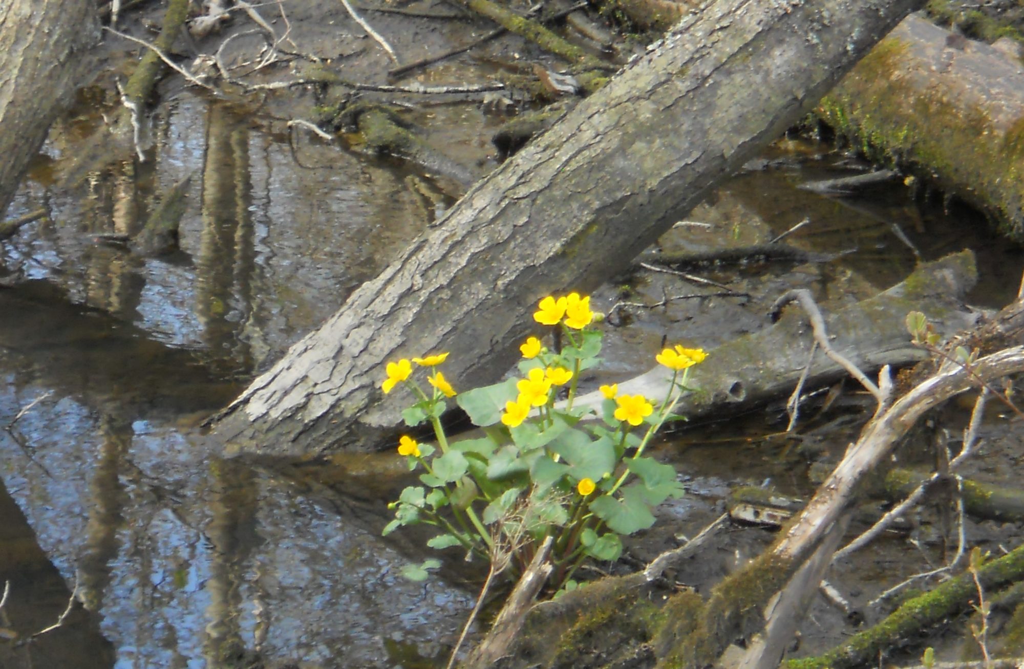 Valokuvaaja: Tiina Arlin