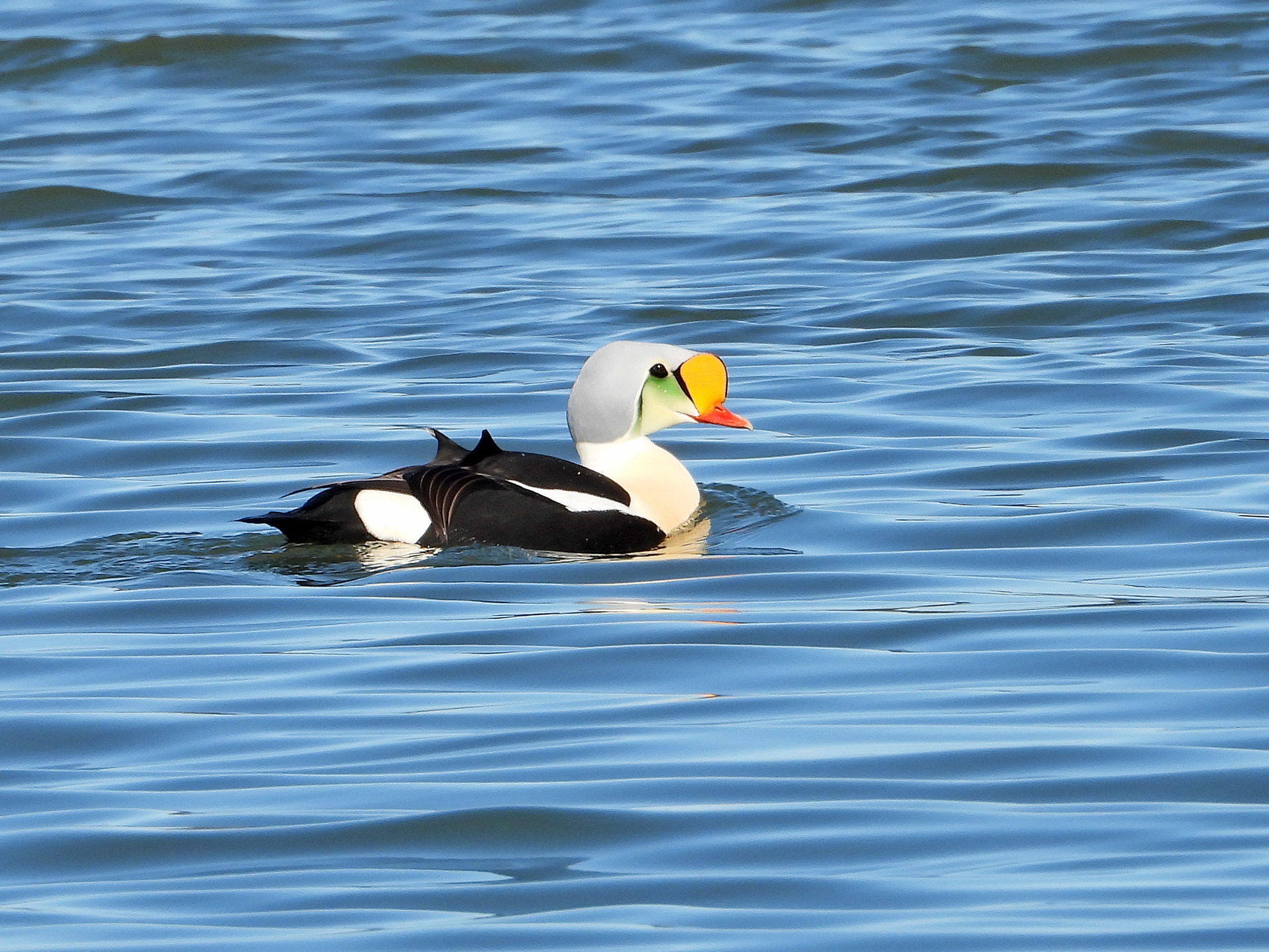 Valokuvaaja: Ruut Jonsson