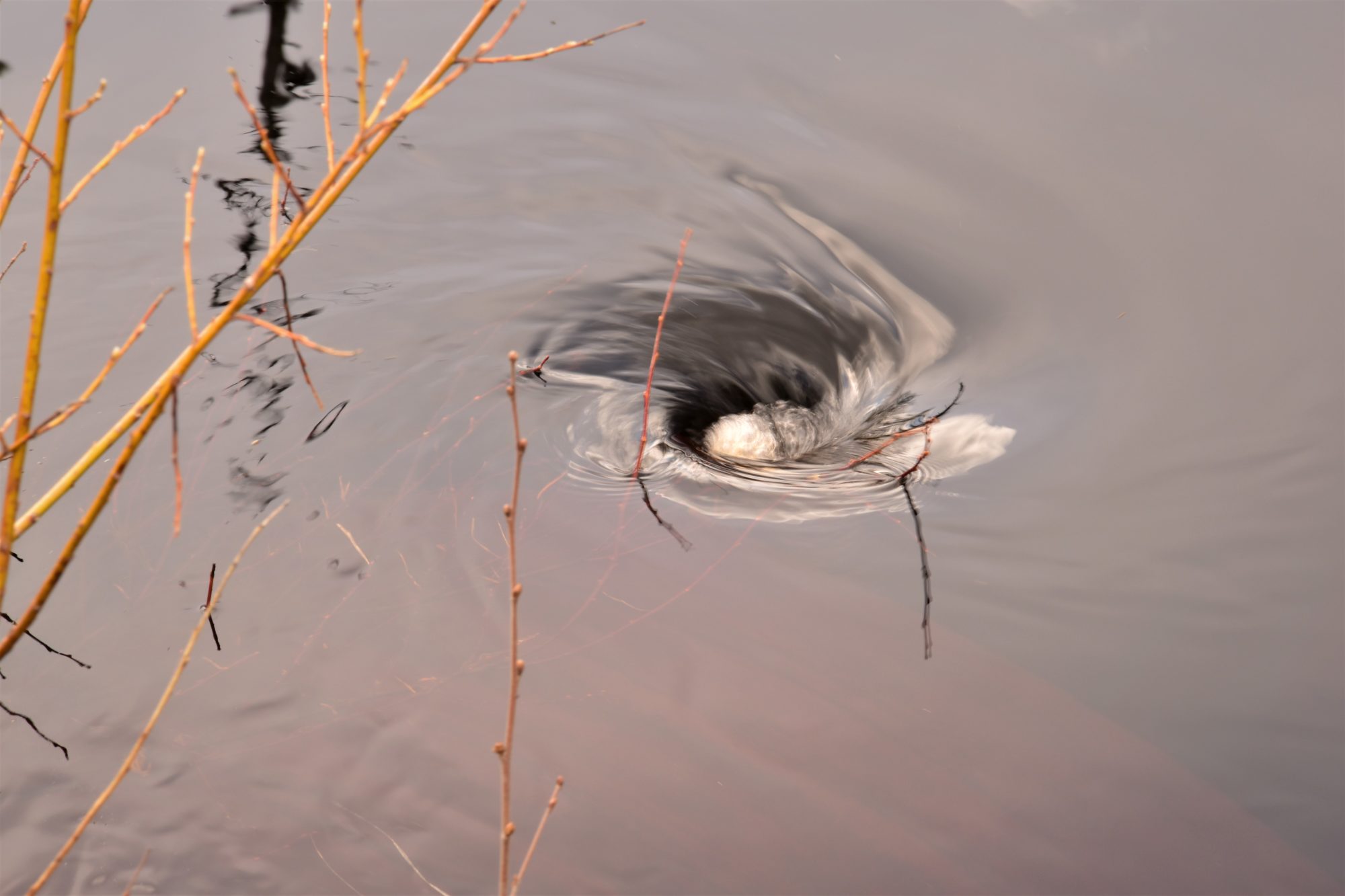Valokuvaaja: Lahja Toivanen Valokuvaaja: Lahja Toivanen