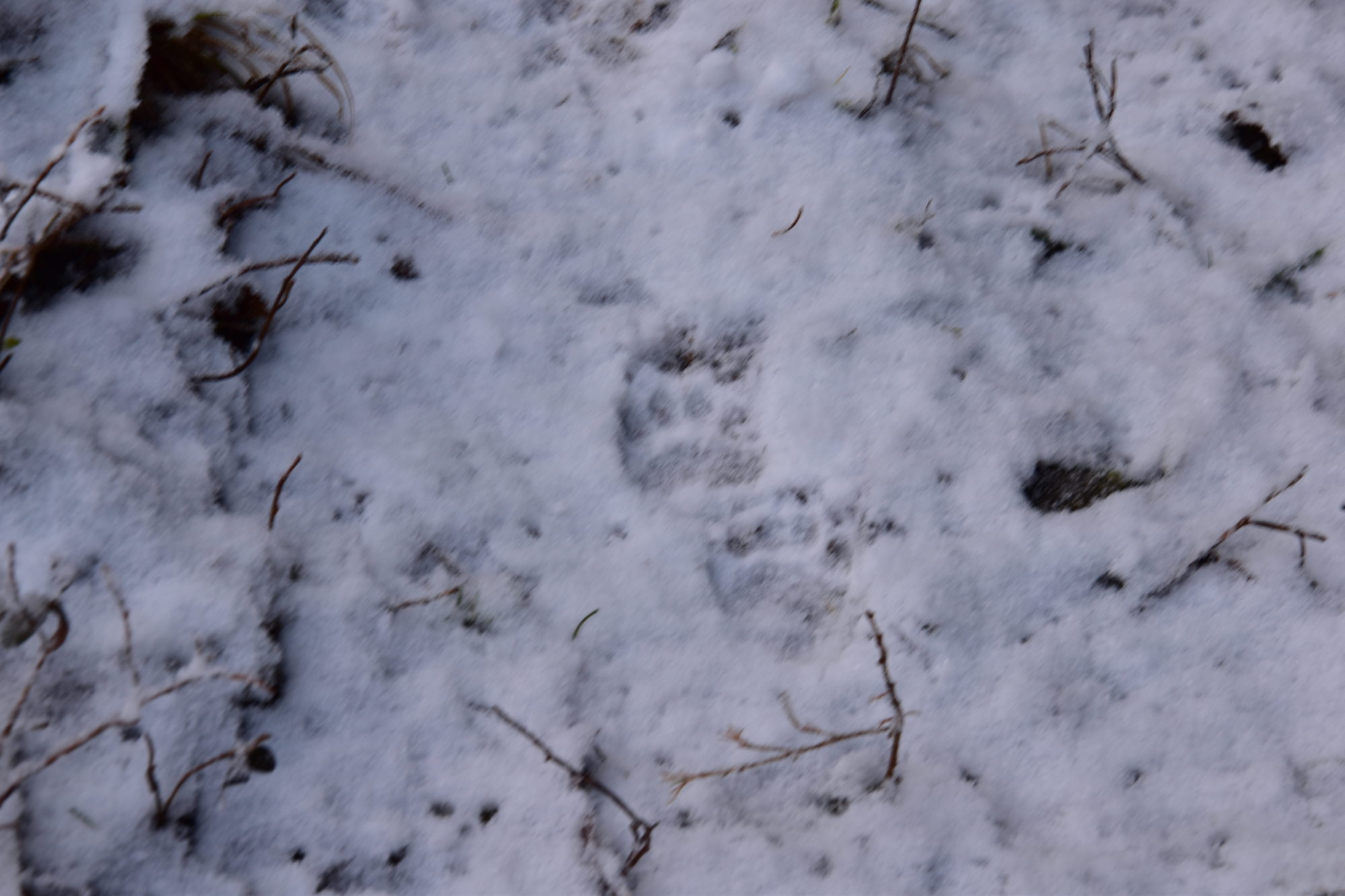 Valokuvaaja: Lahja Toivanen Valokuvaaja: Lahja Toivanen
