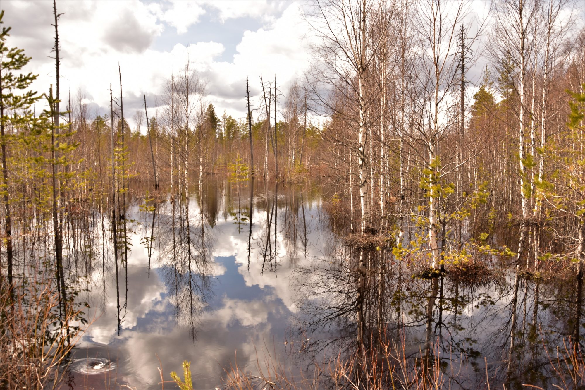 Valokuvaaja: Lahja Toivanen