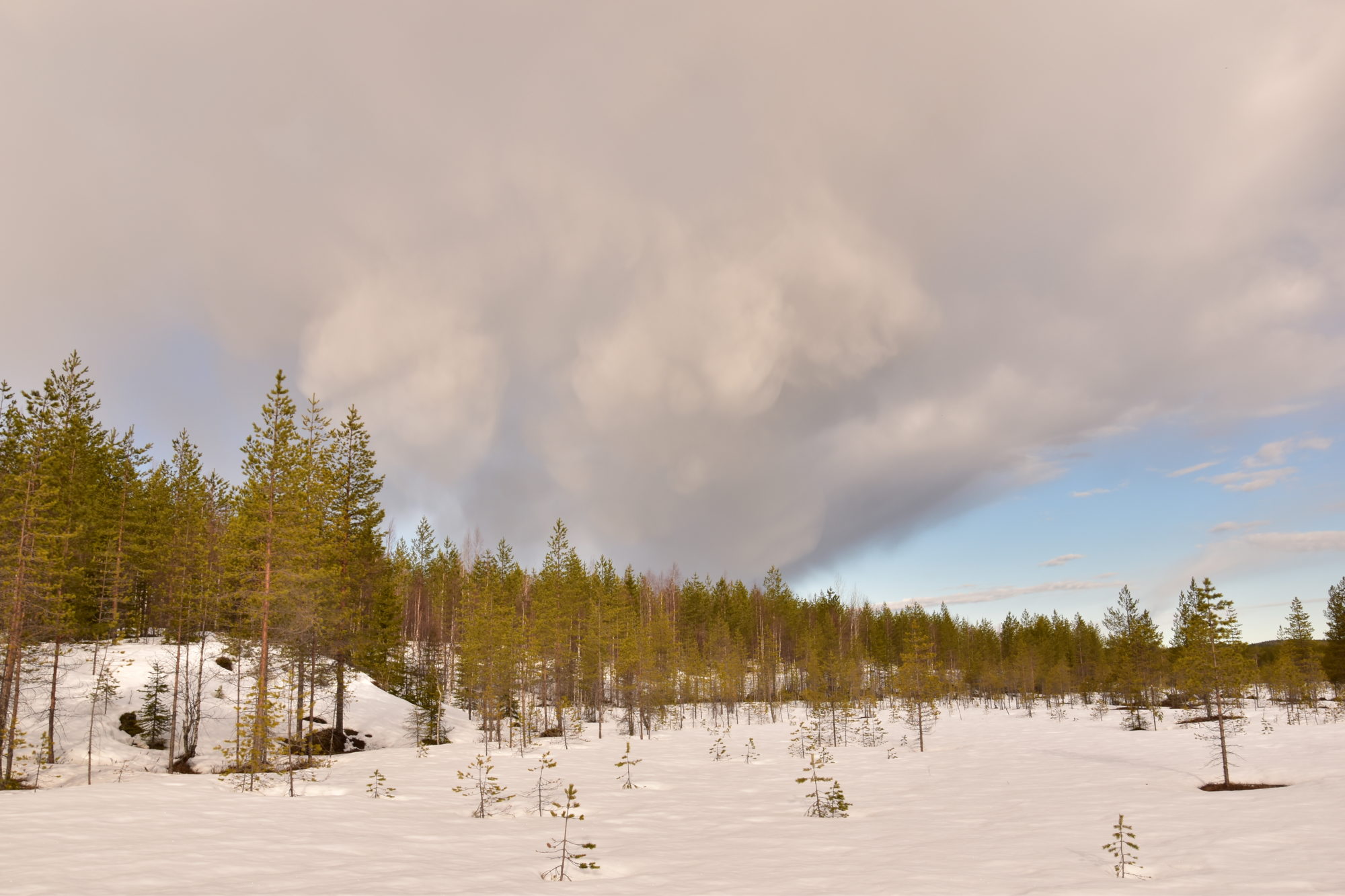 Valokuvaaja: Lahja Toivanen