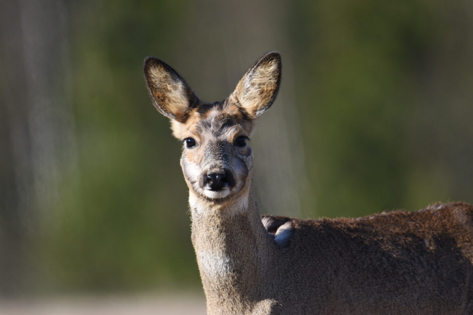 Valokuvaaja: eraopa_s Valokuvaaja: eraopa_s