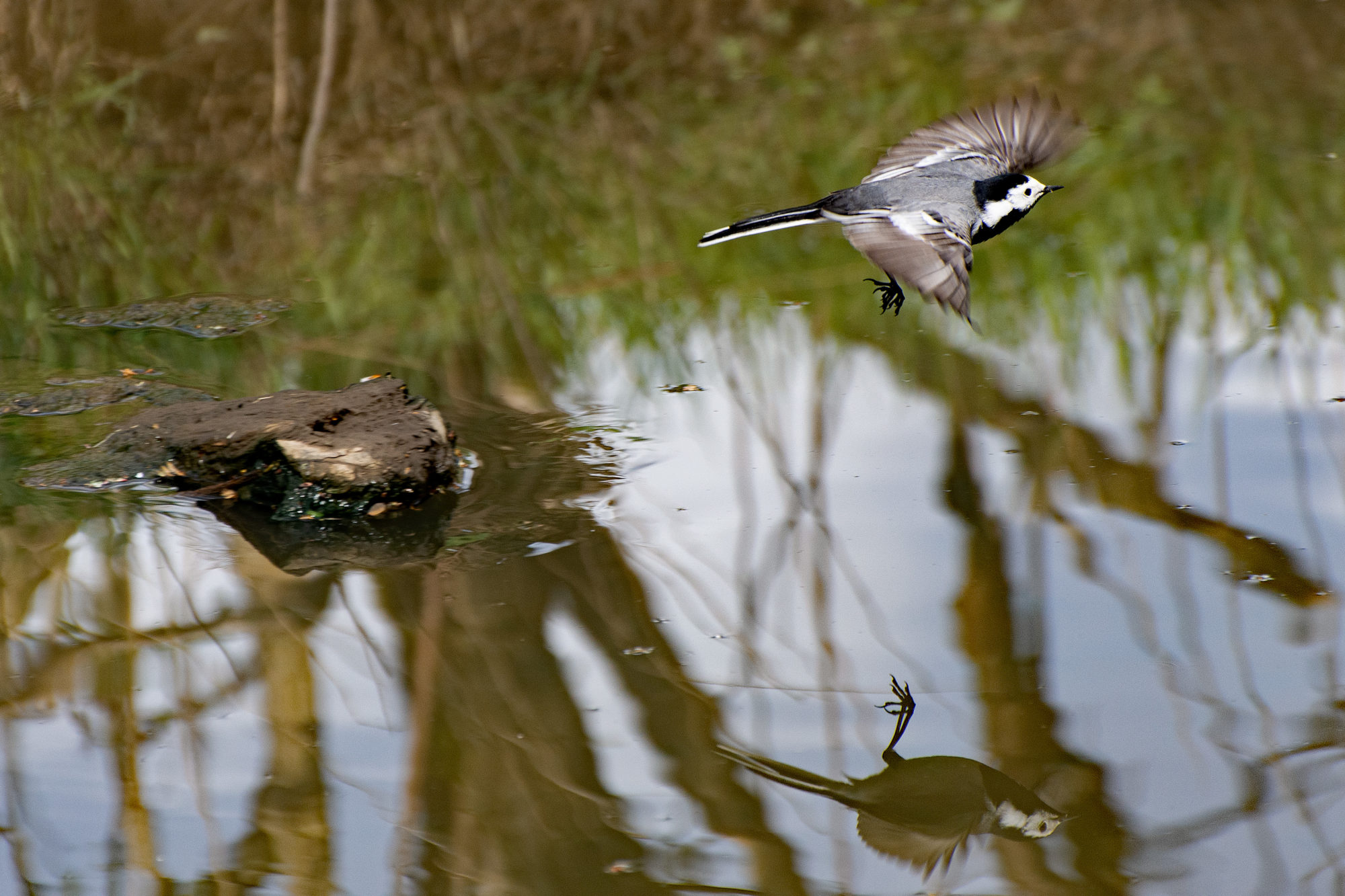 Valokuvaaja: Paavo Siukonen