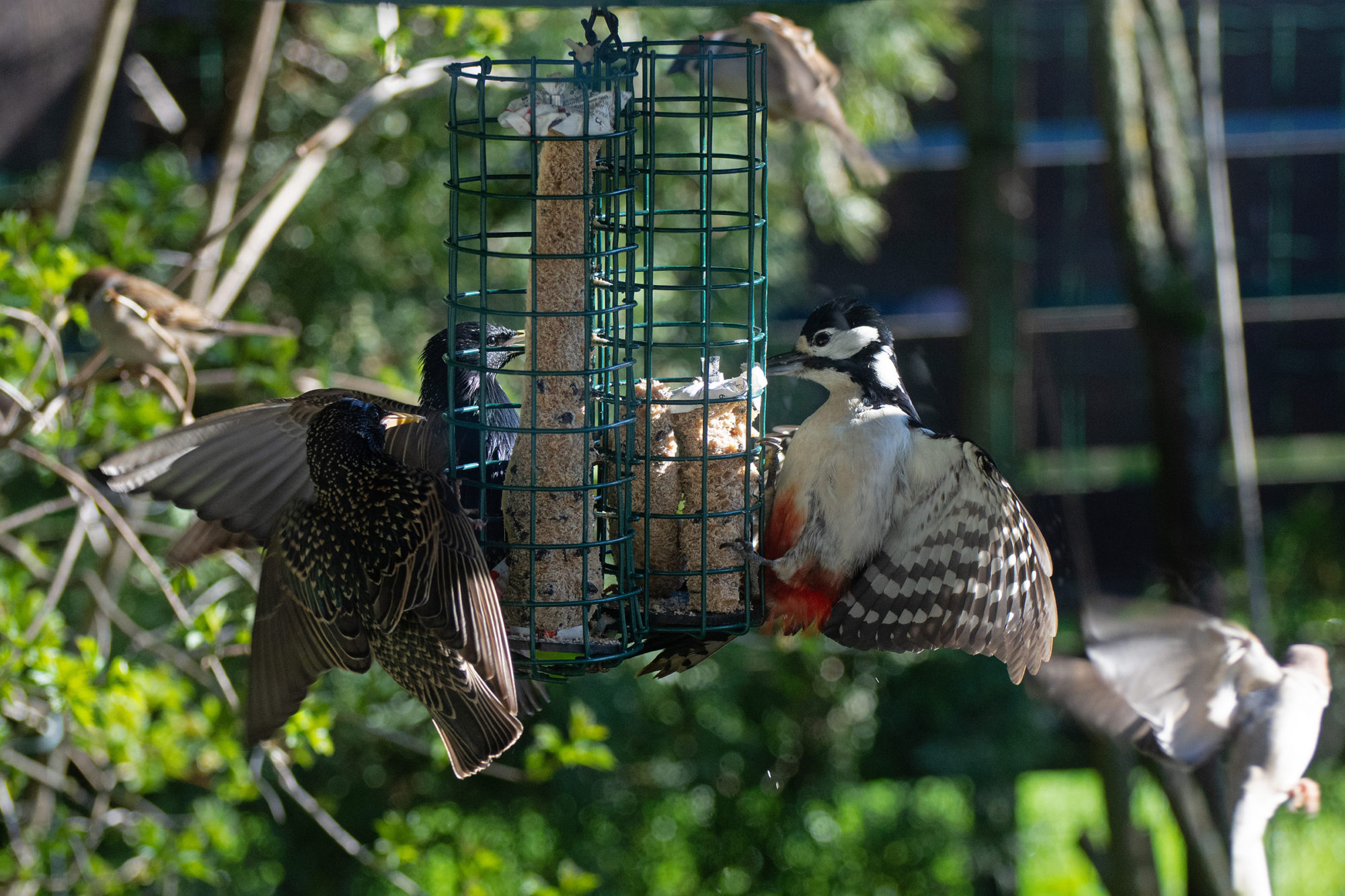 Valokuvaaja: Paavo Siukonen Valokuvaaja: Paavo Siukonen