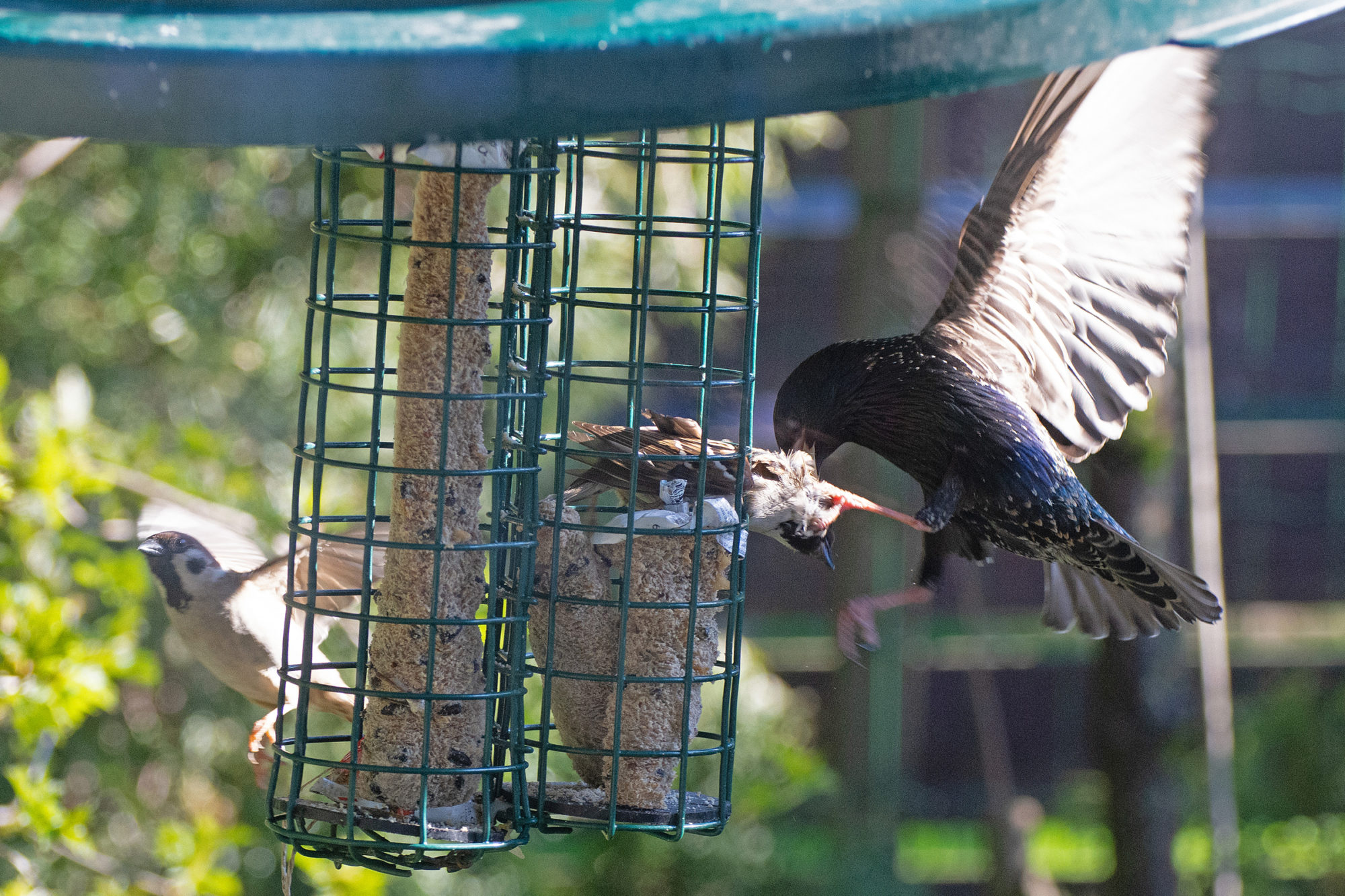 Valokuvaaja: Paavo Siukonen