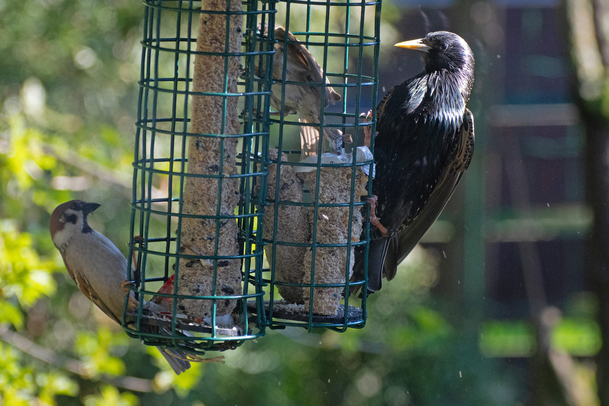 Valokuvaaja: Paavo Siukonen