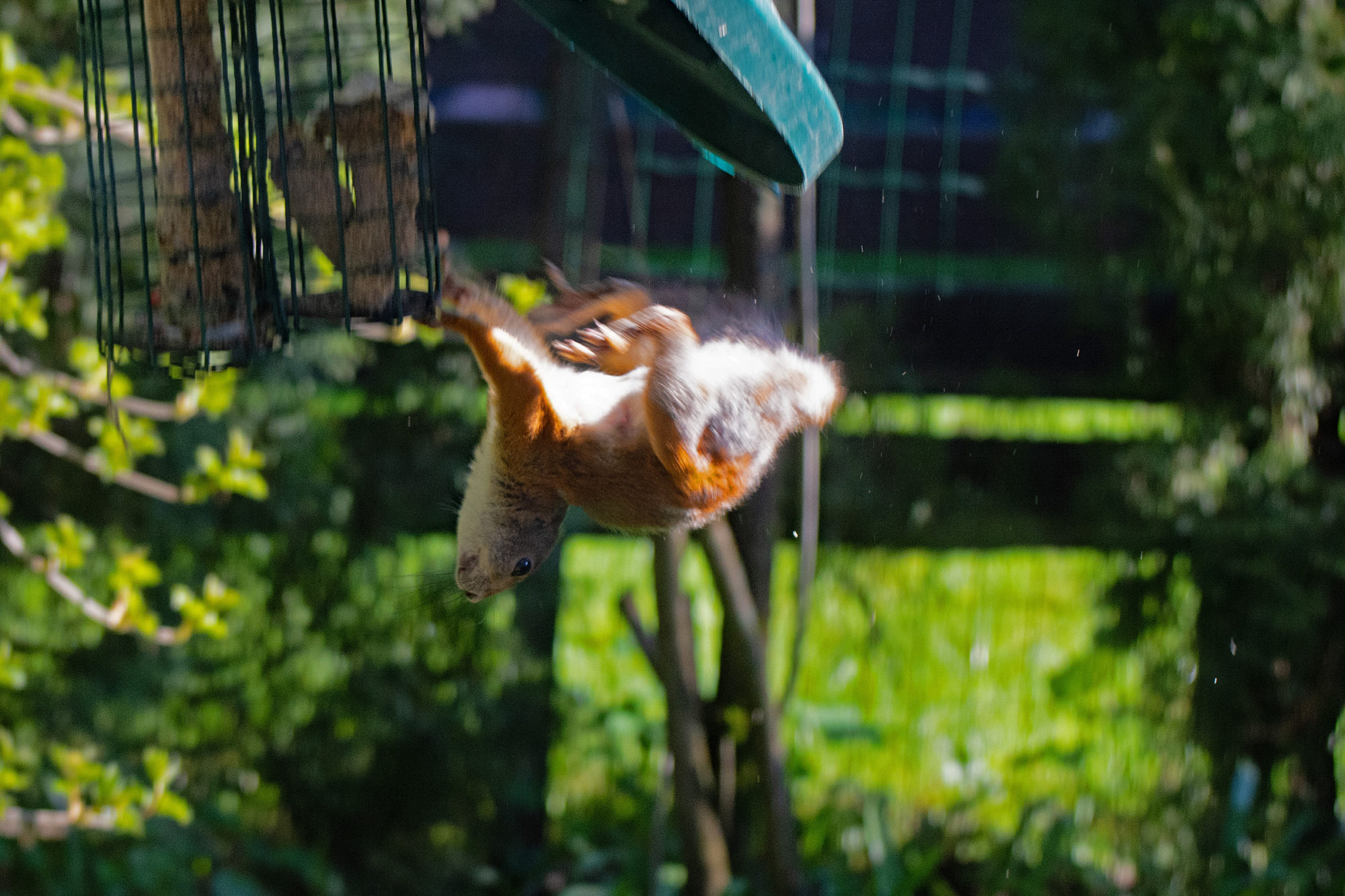 Valokuvaaja: Paavo Siukonen
