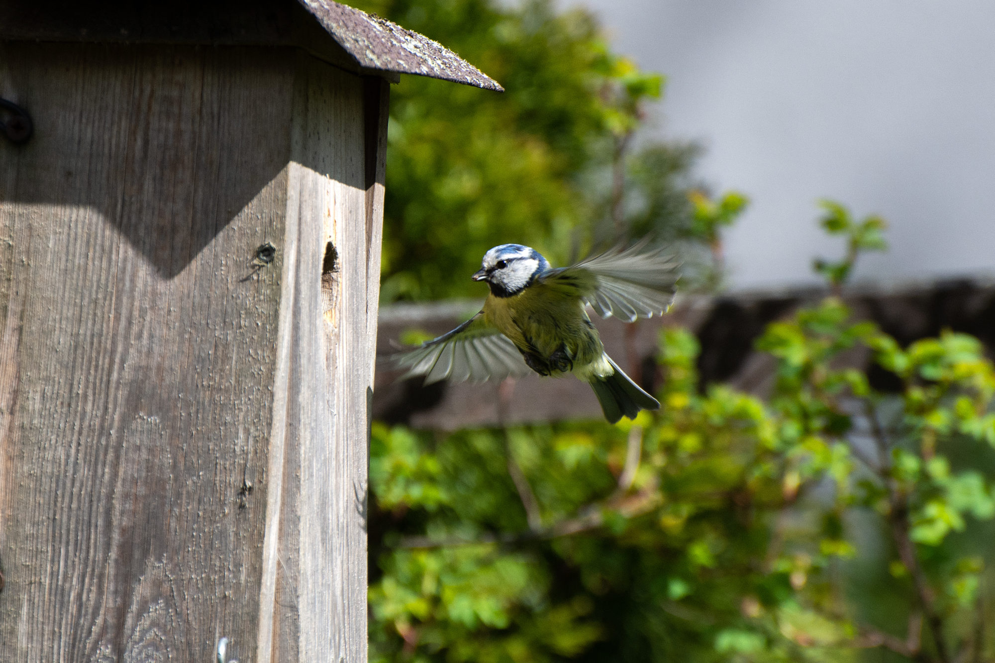 Valokuvaaja: Paavo Siukonen