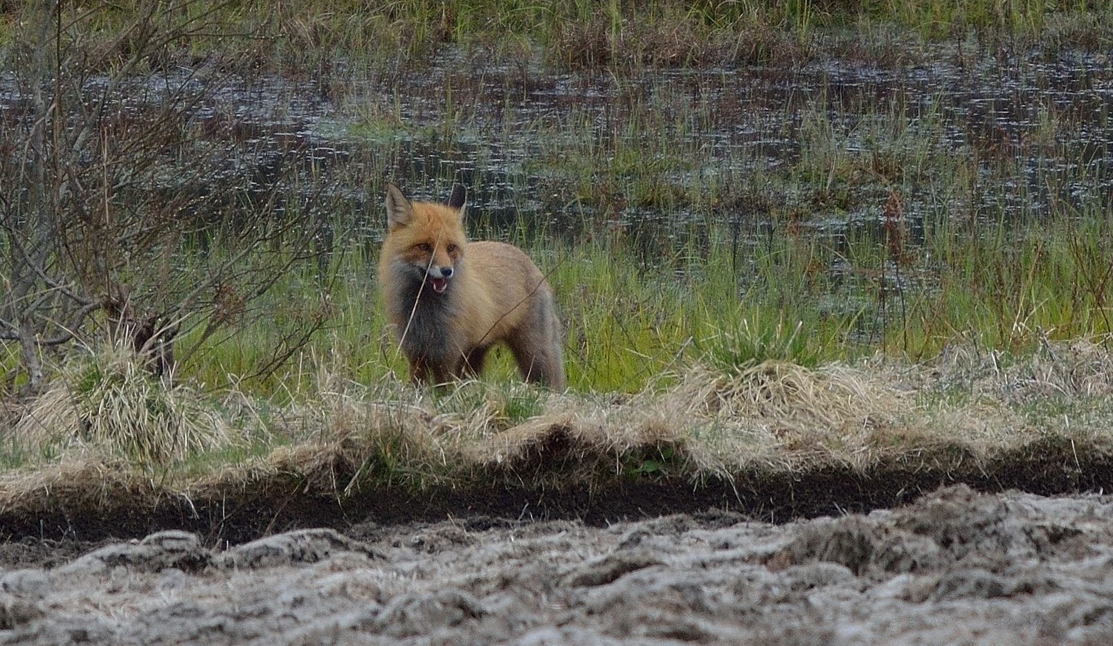 Valokuvaaja: Hannu Haapasaari
