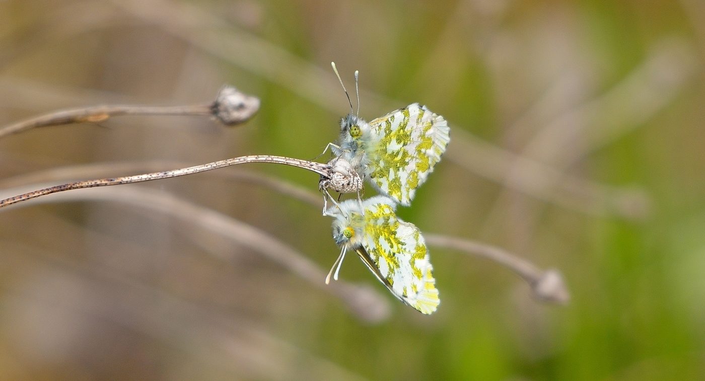 Valokuvaaja: Hannu Haapasaari