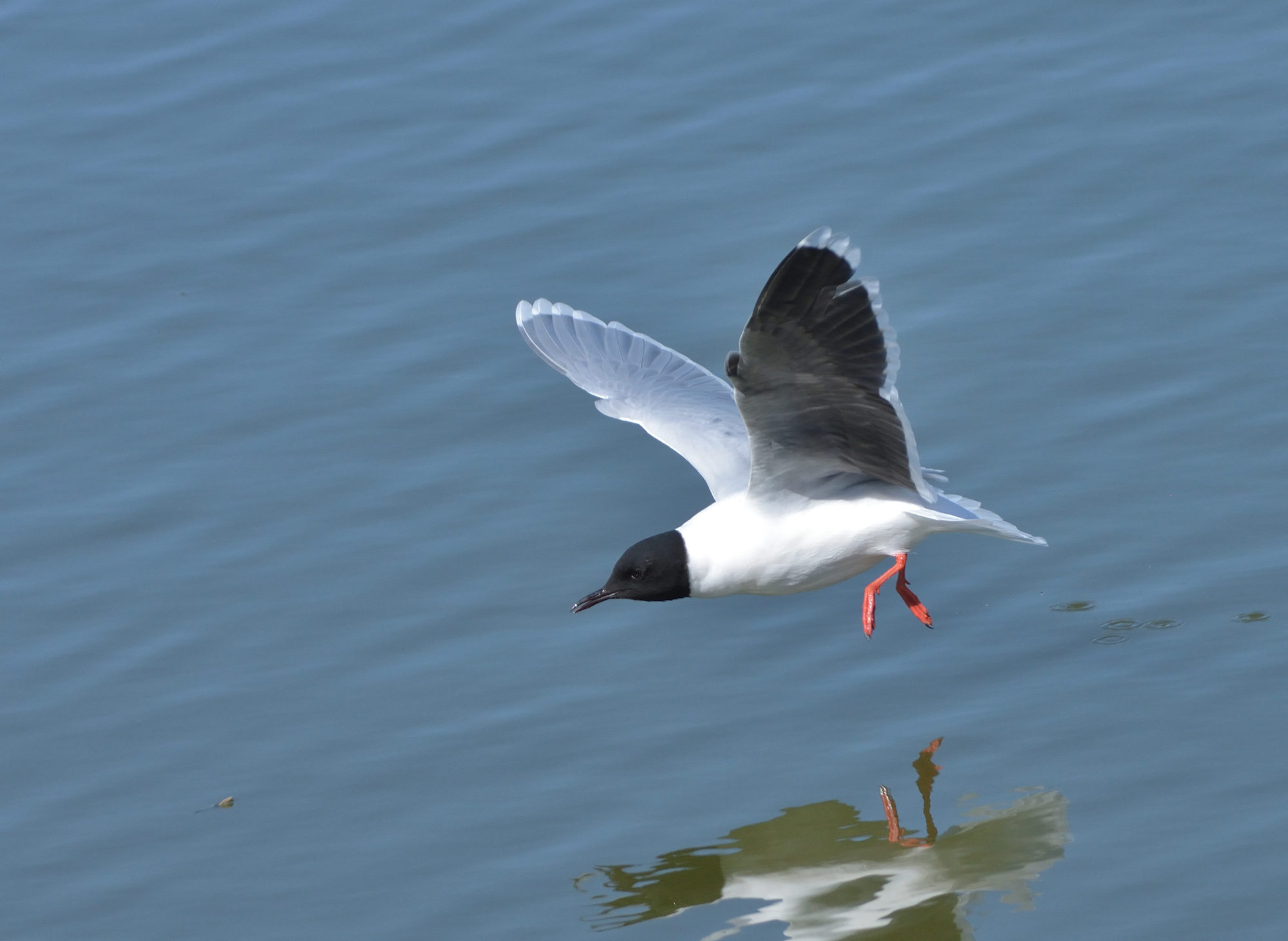 Valokuvaaja: Asko Heikkinen Valokuvaaja: Asko Heikkinen
