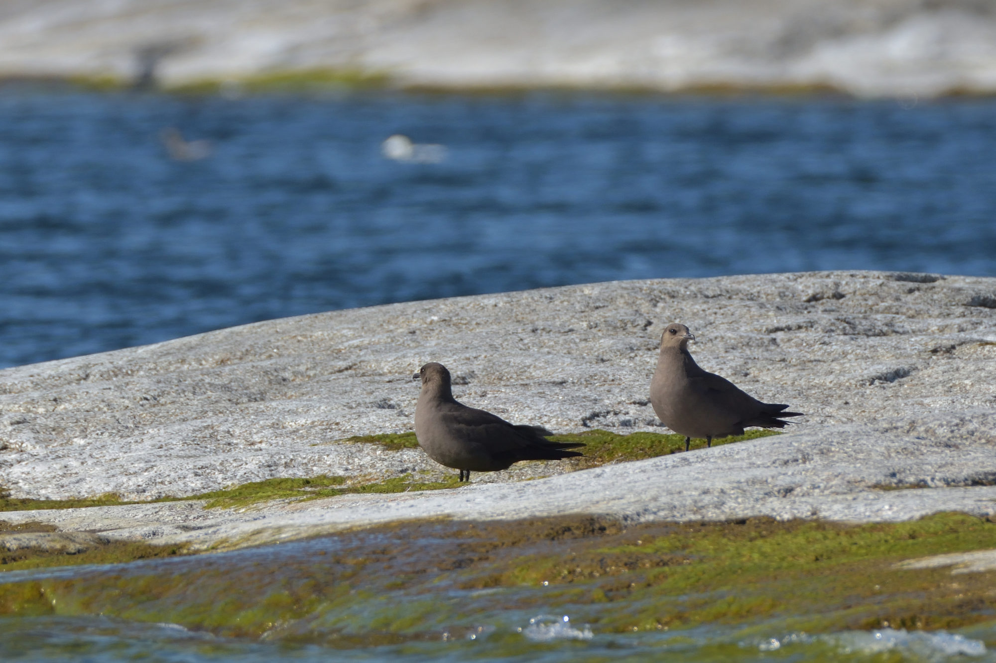 Valokuvaaja: Asko Heikkinen