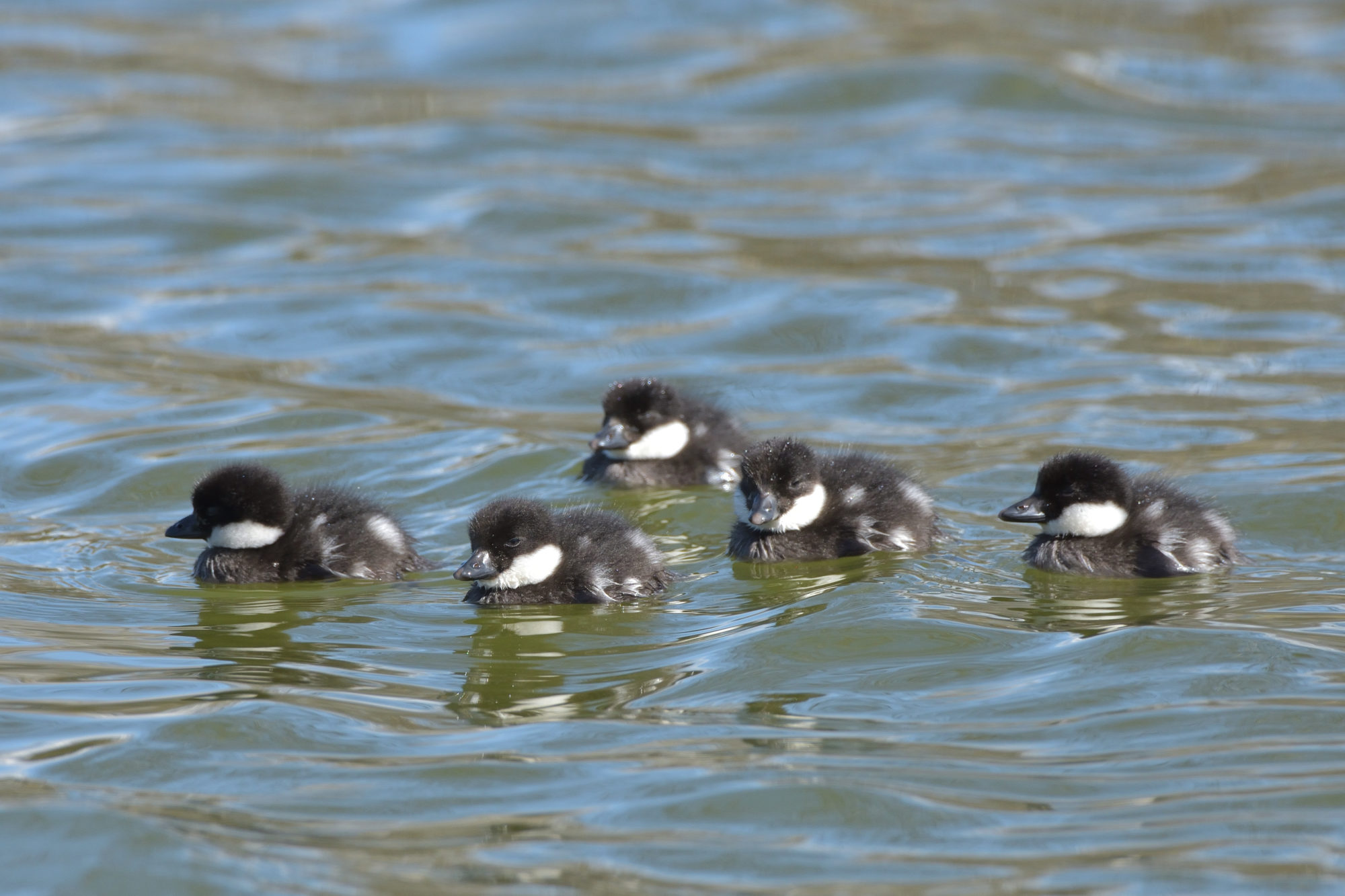 Valokuvaaja: Asko Heikkinen