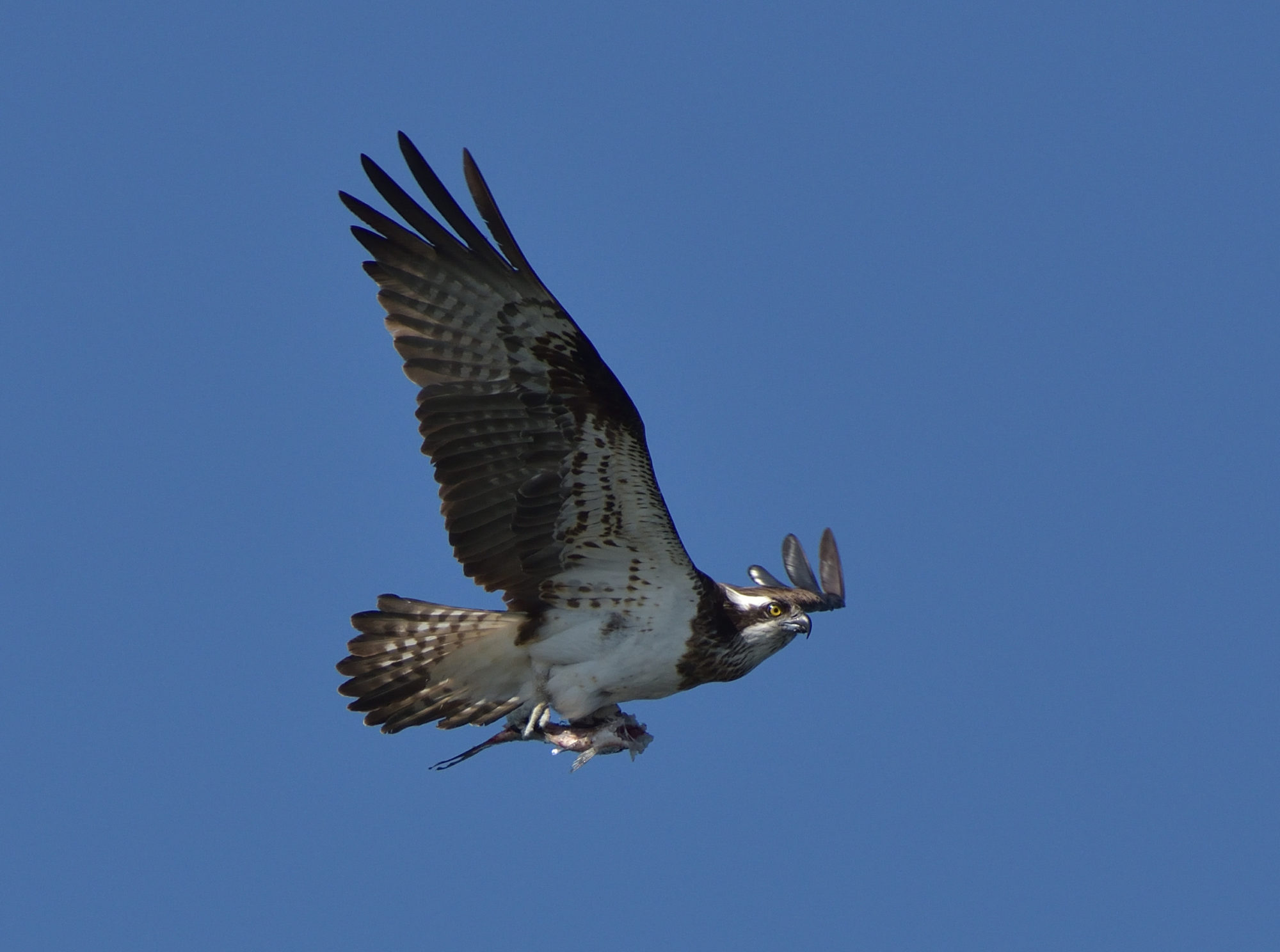 Valokuvaaja: Asko Heikkinen