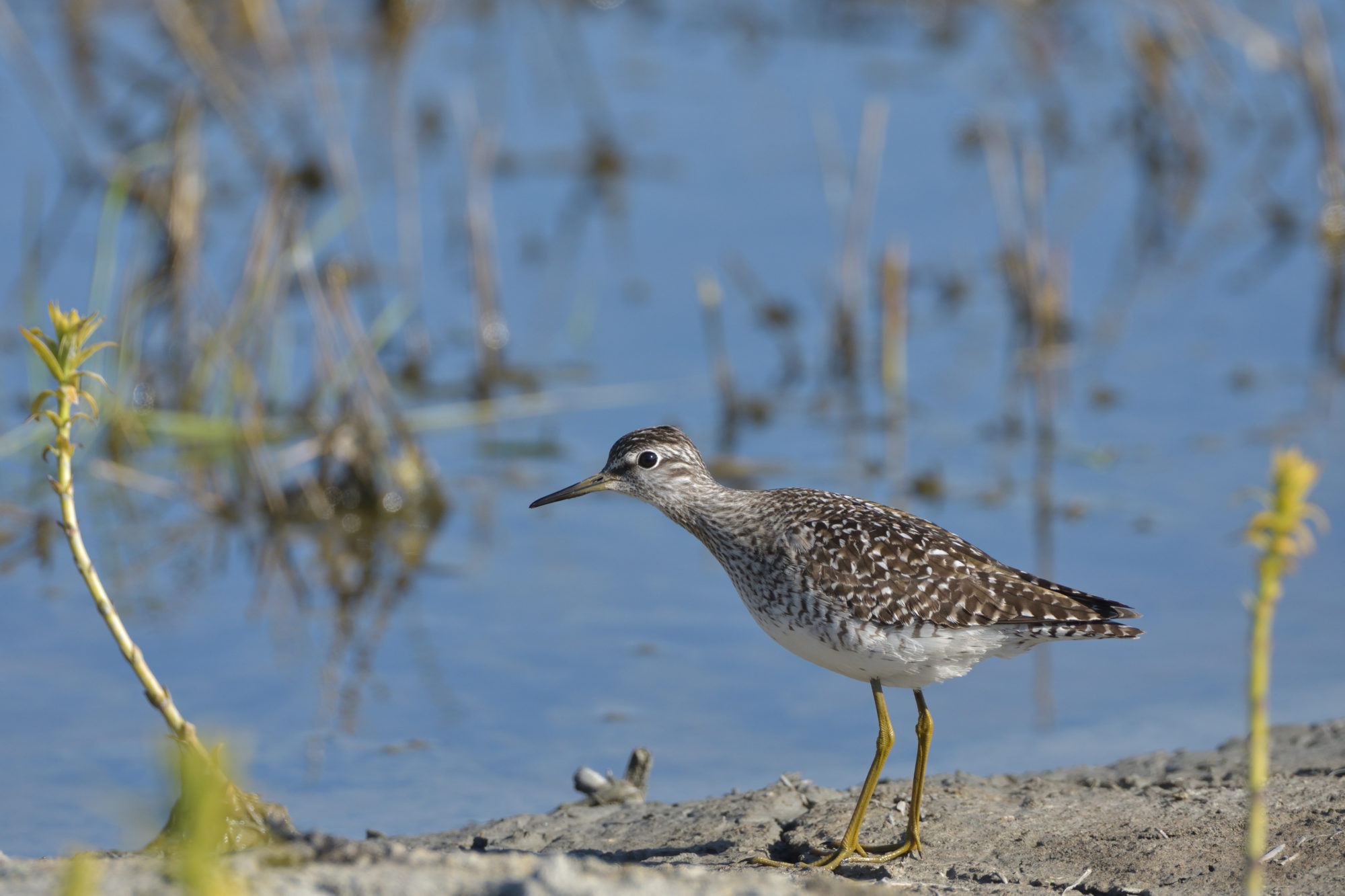 Valokuvaaja: Asko Heikkinen