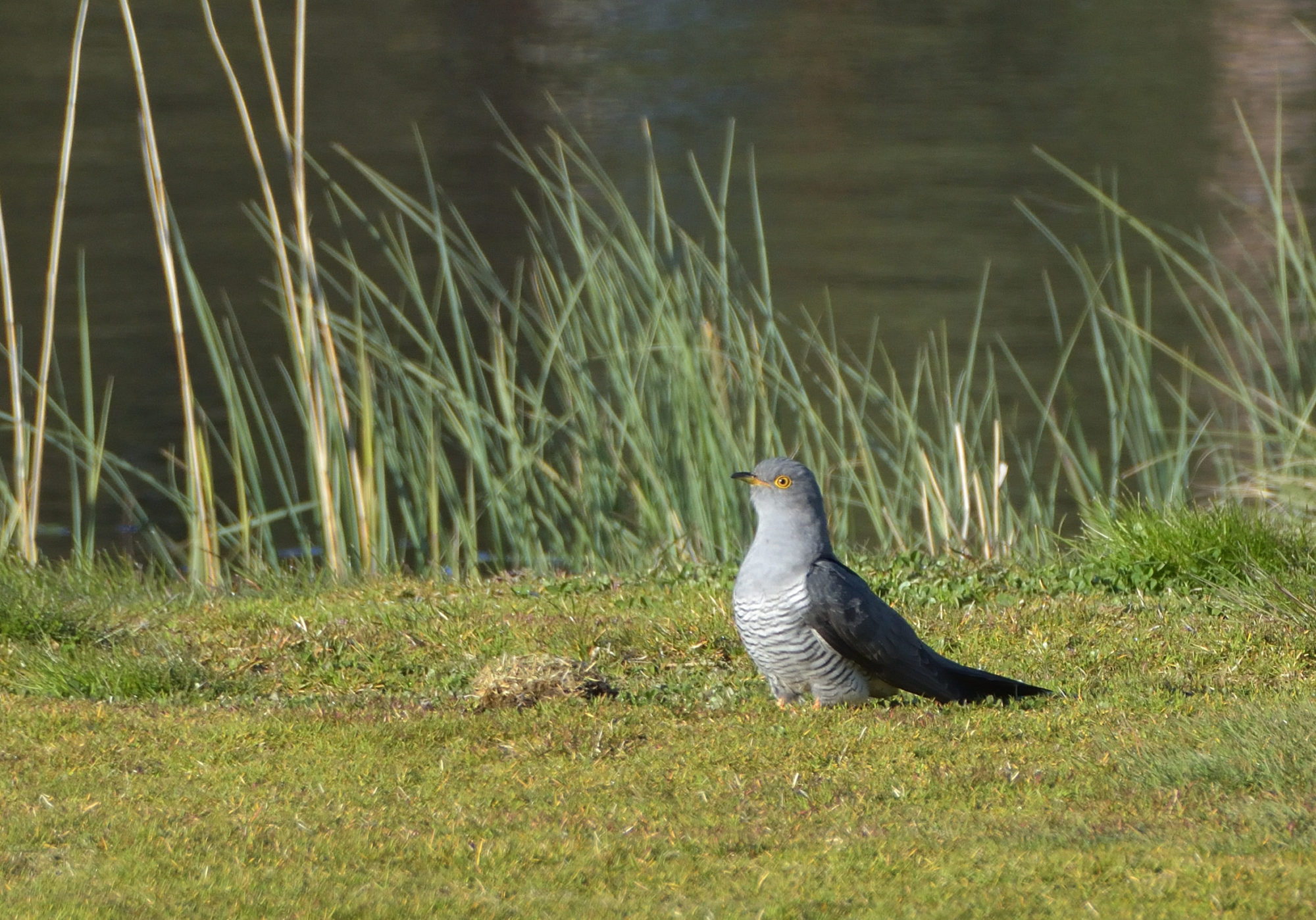 Valokuvaaja: Asko Heikkinen