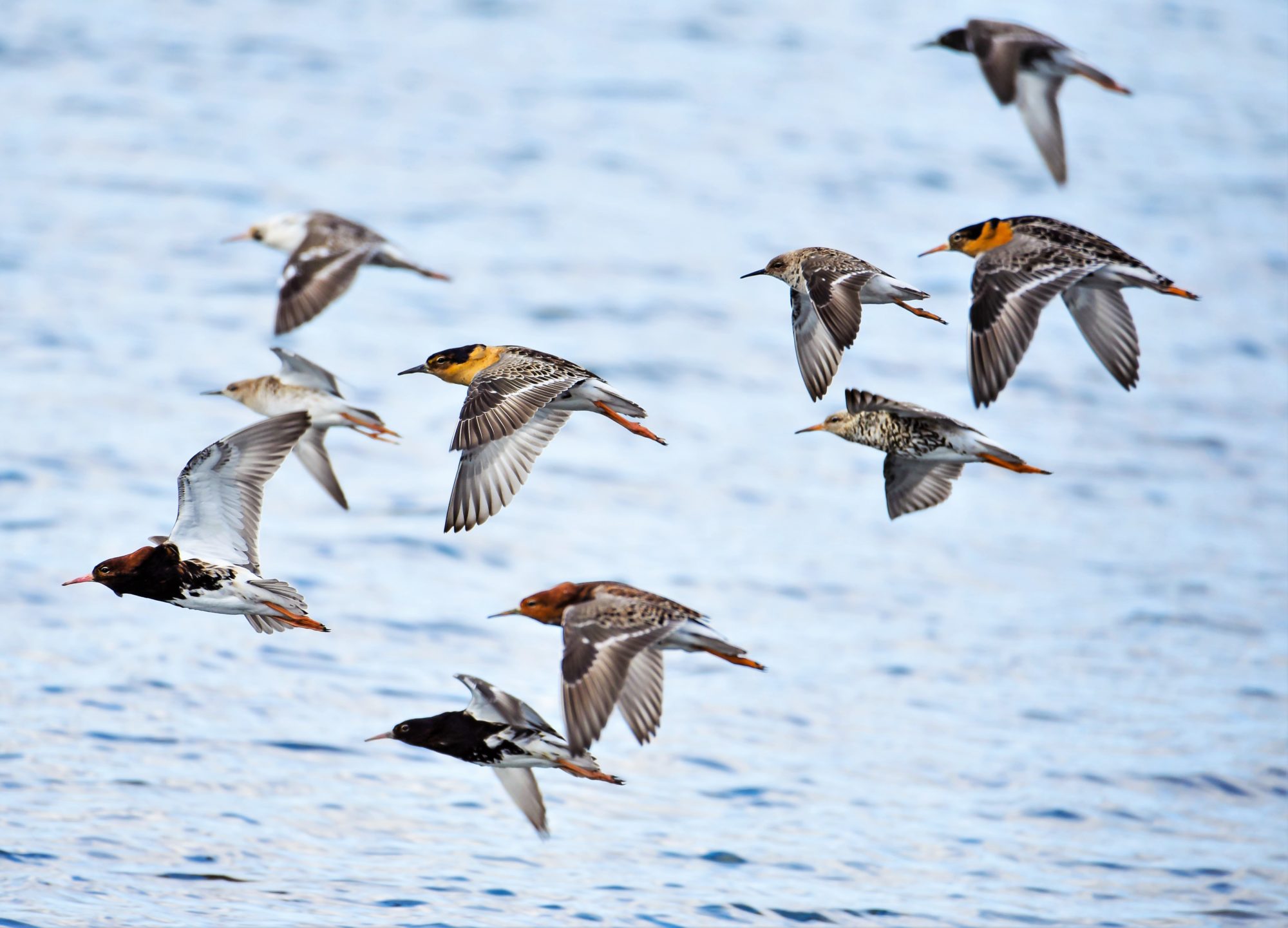 Valokuvaaja: LEENA LATVALA