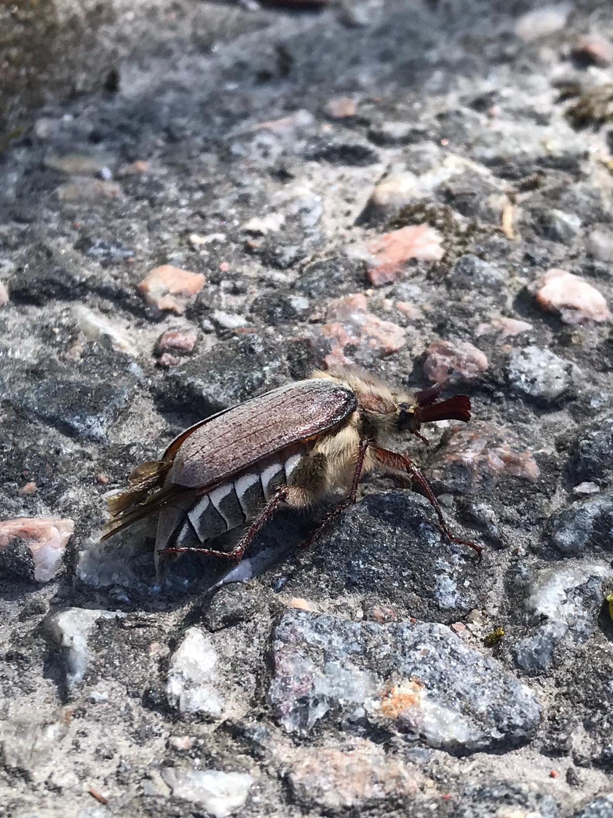 Valokuvaaja: Laura Lankinen