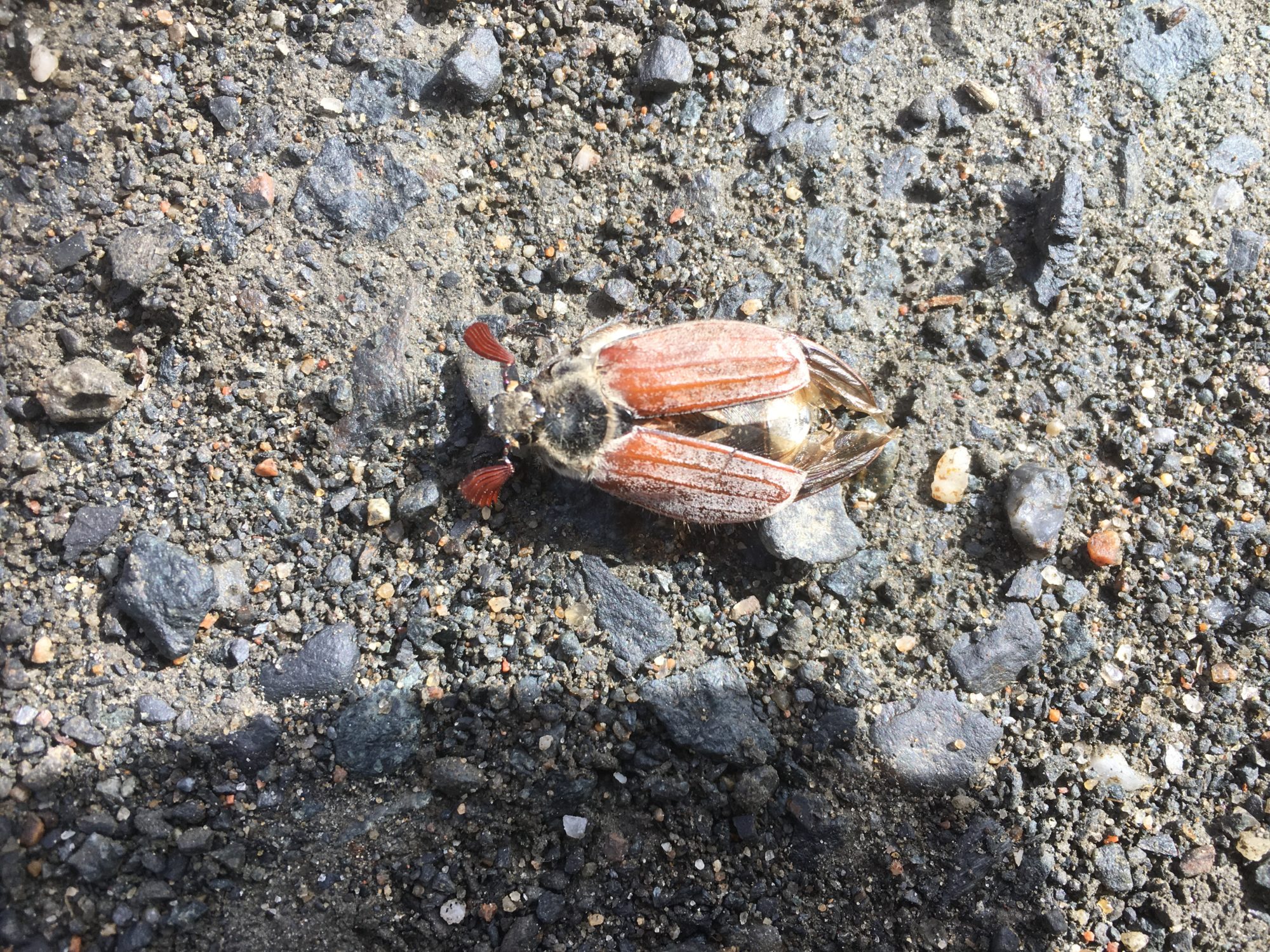 Valokuvaaja: Jenni Kinnunen-Sairanen