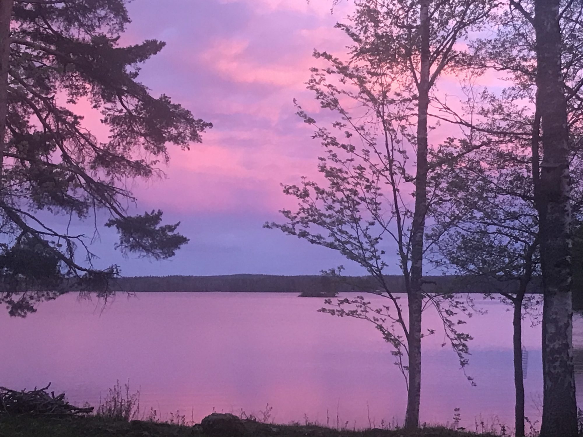 Valokuvaaja: Aino Kylmänen