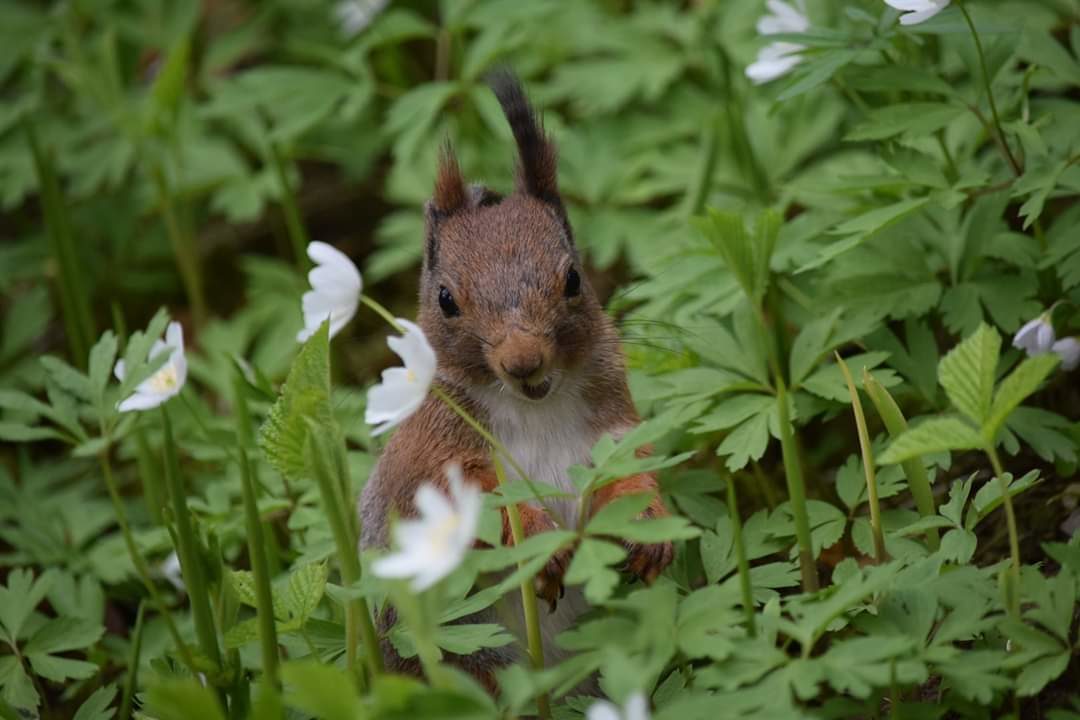 Valokuvaaja: Riitta Marjamäki