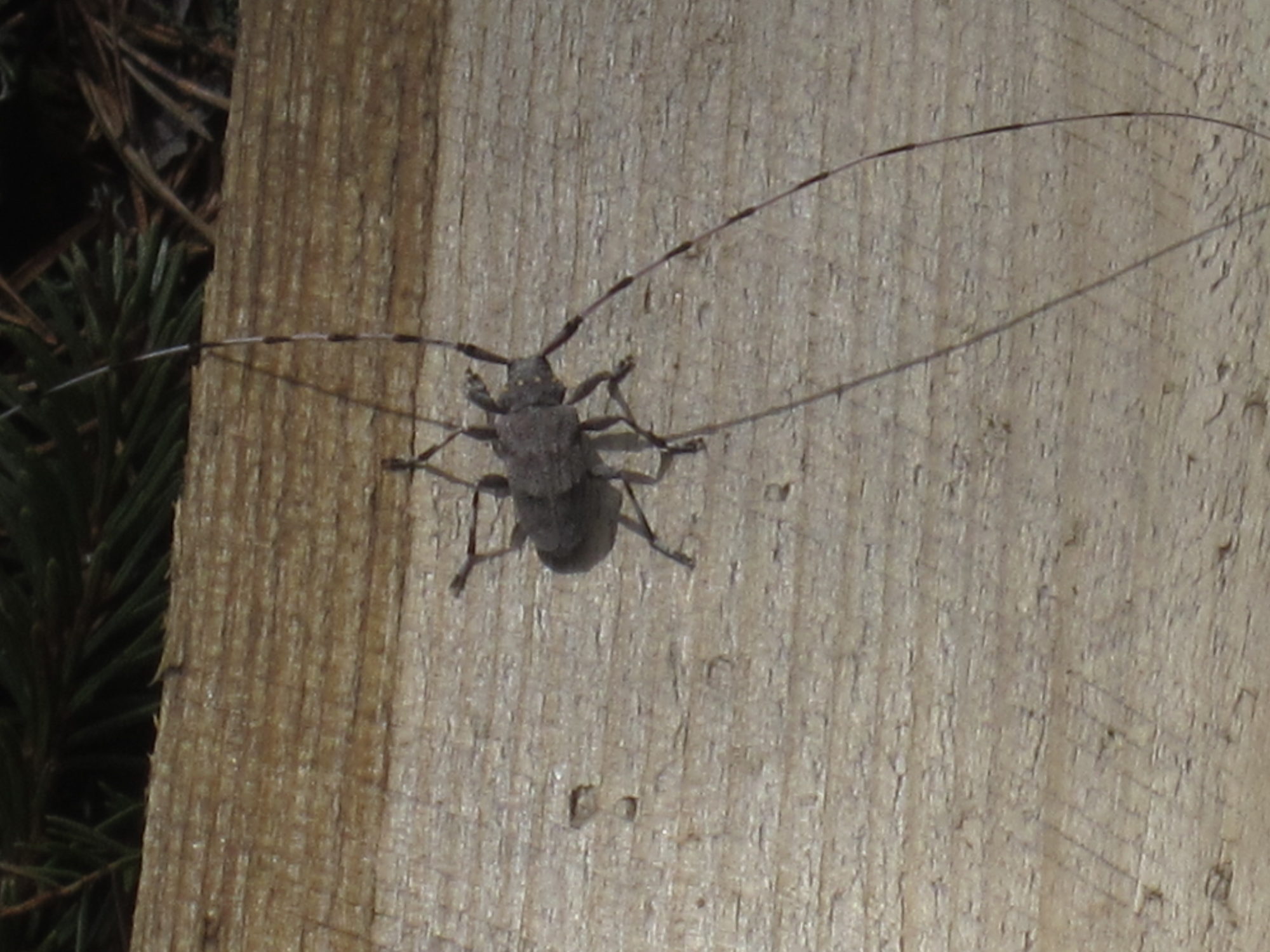 Valokuvaaja: Marita Portin