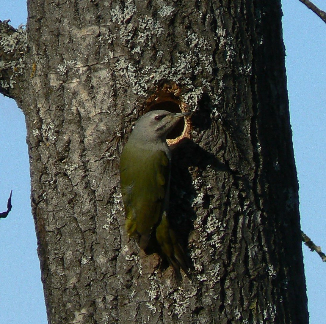 Valokuvaaja: Pekka Heino