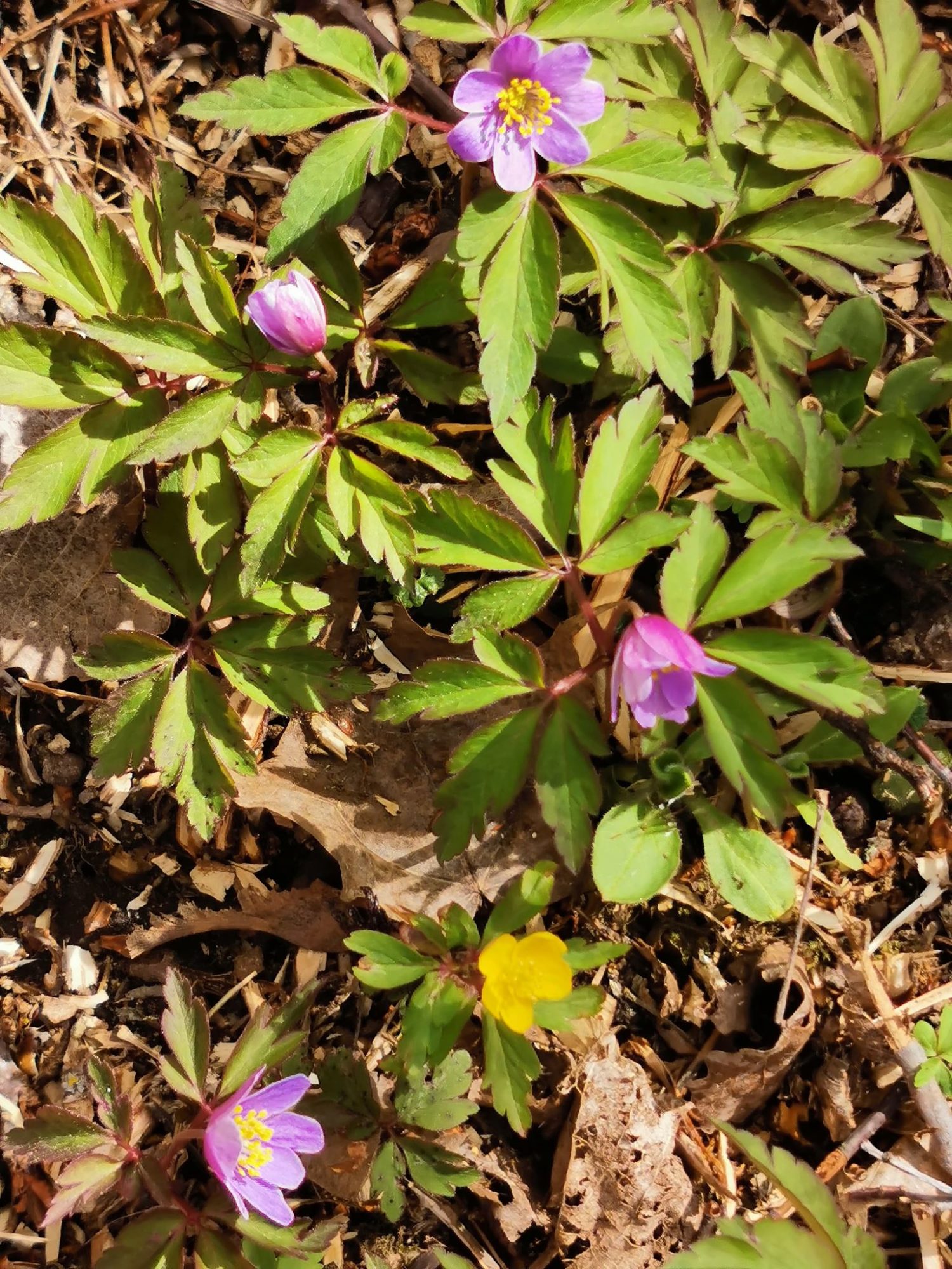 Valokuvaaja: Leena Orasmaa