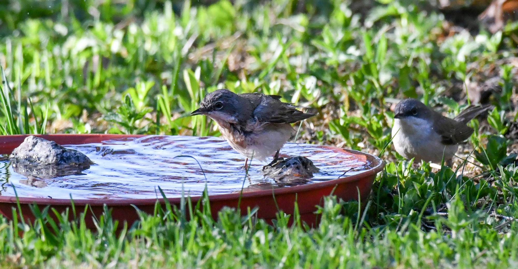 Valokuvaaja: Matti Manninen