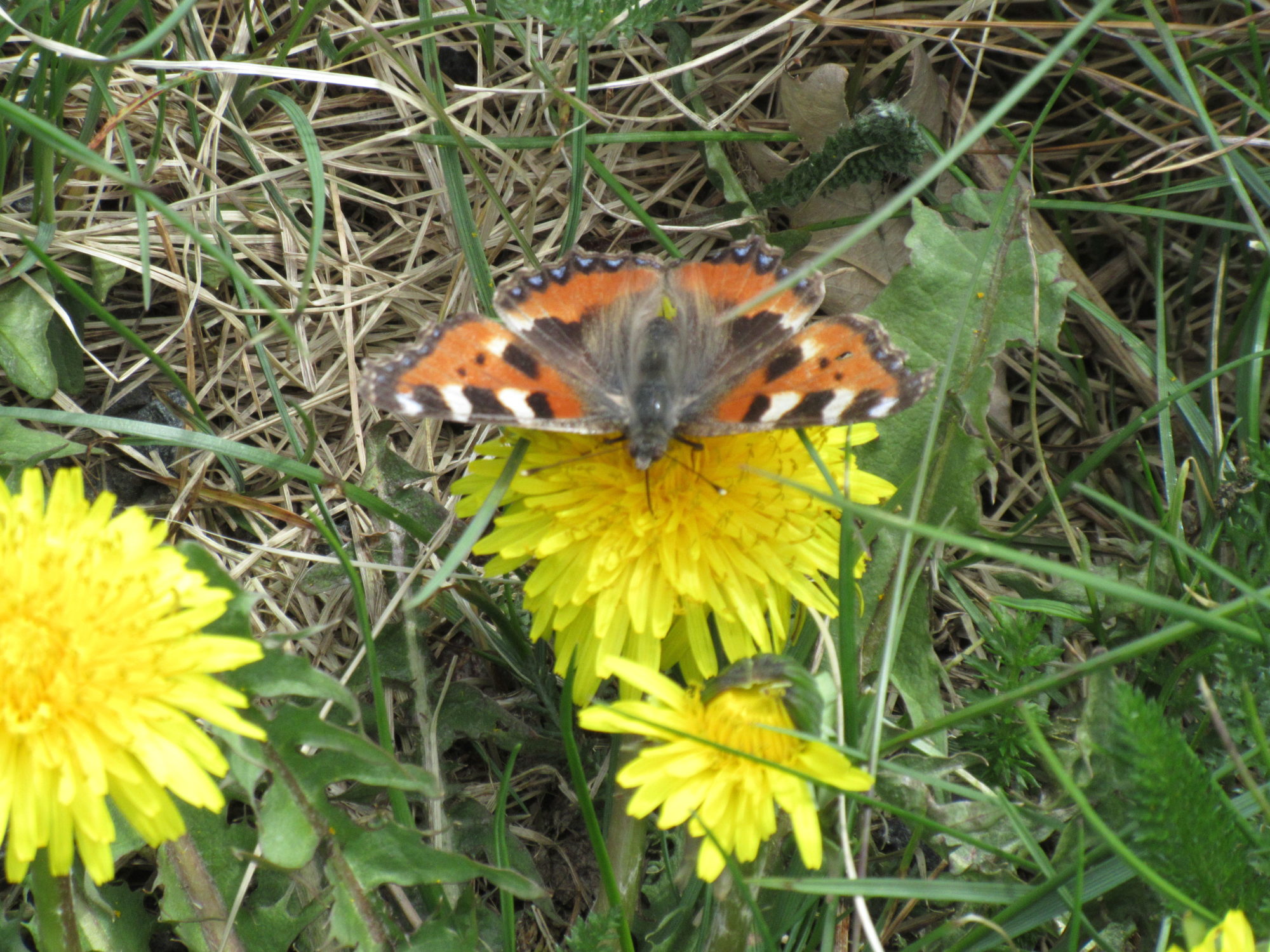 Valokuvaaja: Terttu Rantanen