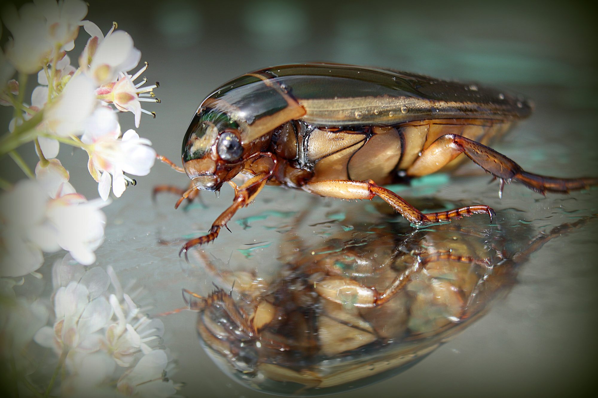 Valokuvaaja: Irja Lehtinen