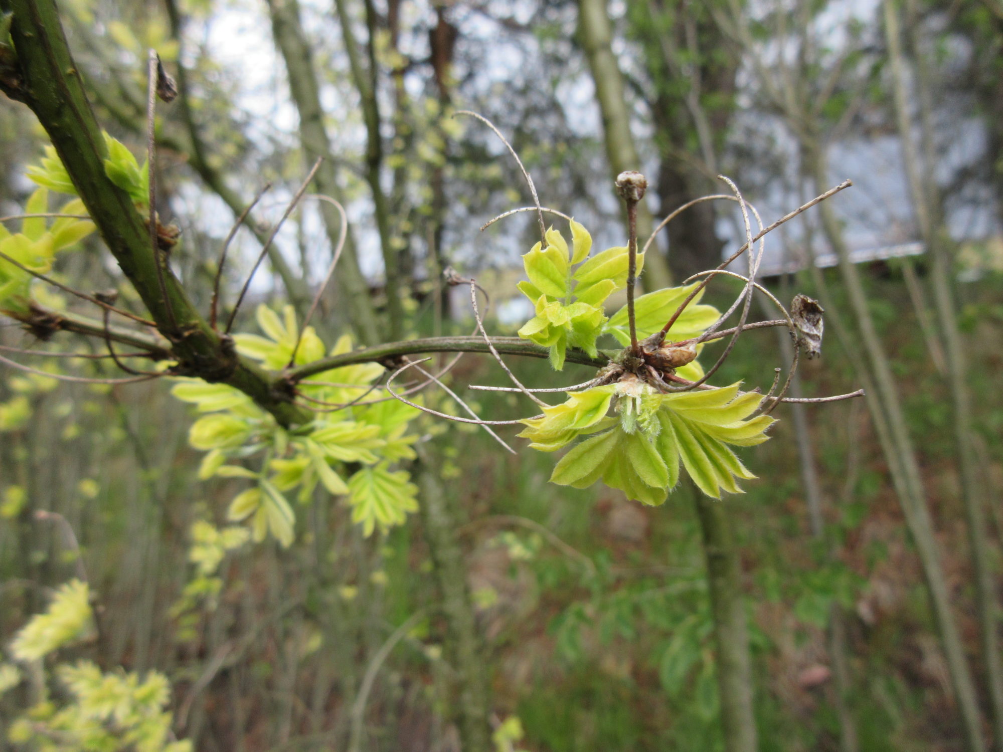 Valokuvaaja: Terttu Rantanen