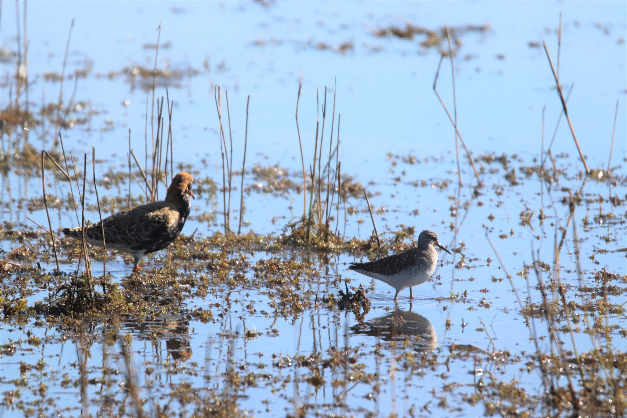 Valokuvaaja: Irja Lehtinen