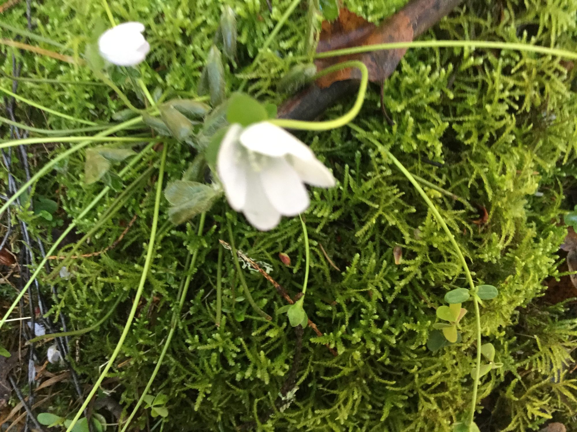 Valokuvaaja: Huotari Kaija