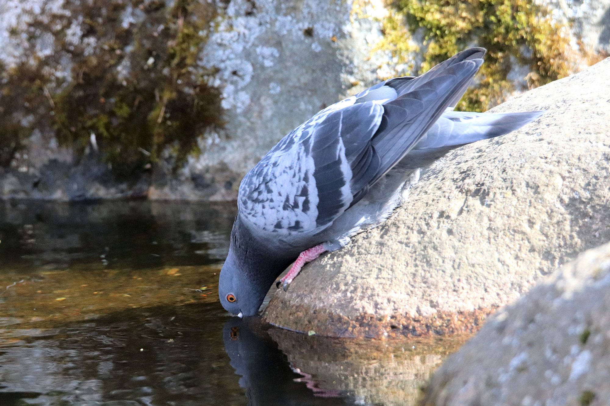 Valokuvaaja: Irja Lehtinen