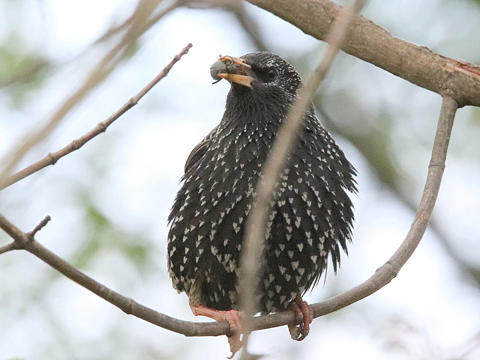 Valokuvaaja: Irja Lehtinen