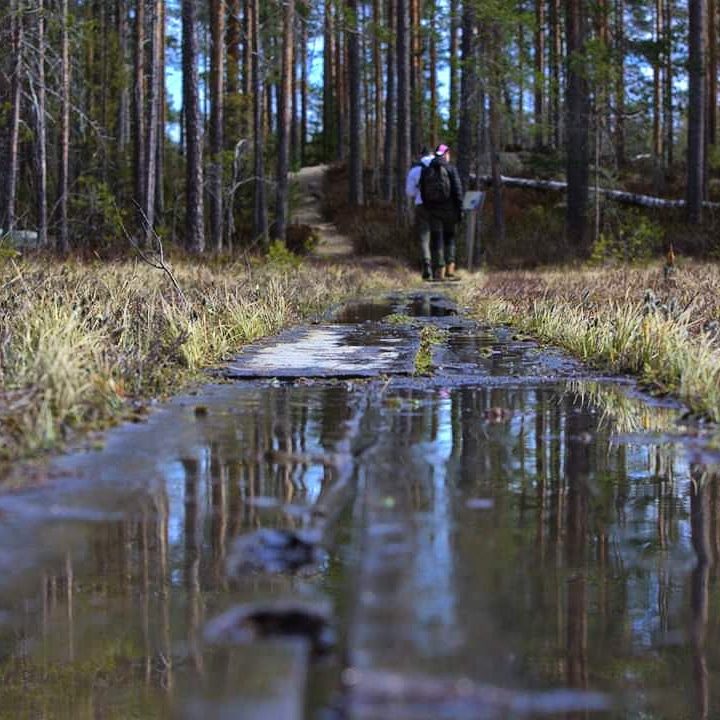 Valokuvaaja: Tapio Keinonen