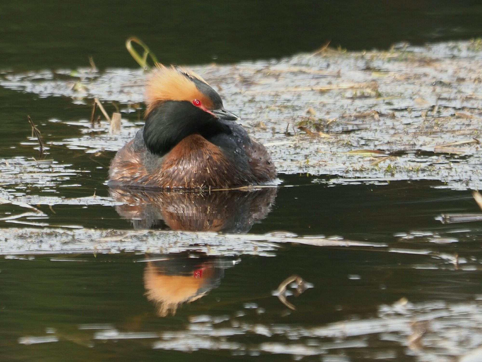 Valokuvaaja: Mikkola Irma