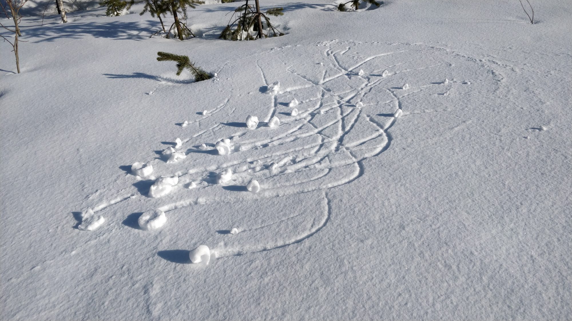 Valokuvaaja: Miia Mikkonen