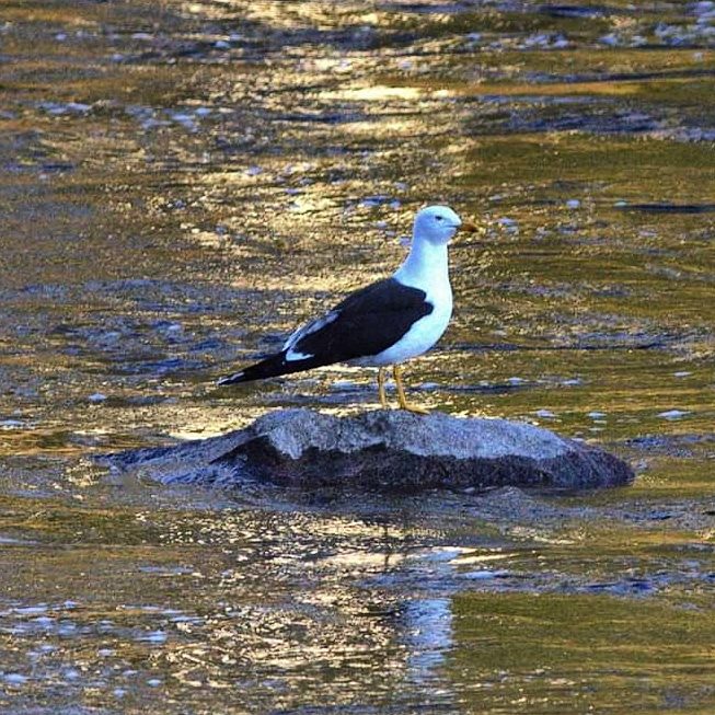 Valokuvaaja: Tapio Keinonen