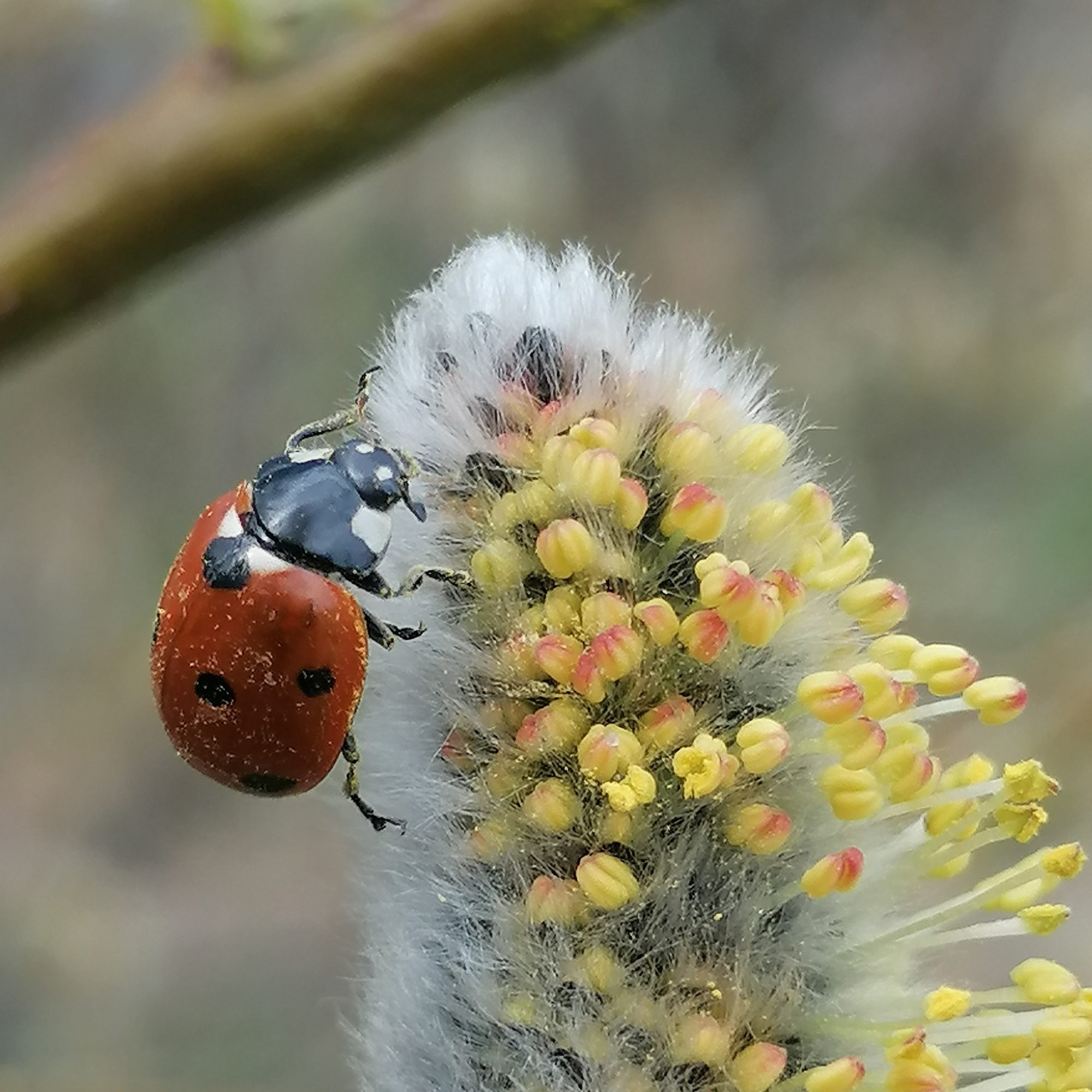 Valokuvaaja: Riitta Marjamäki