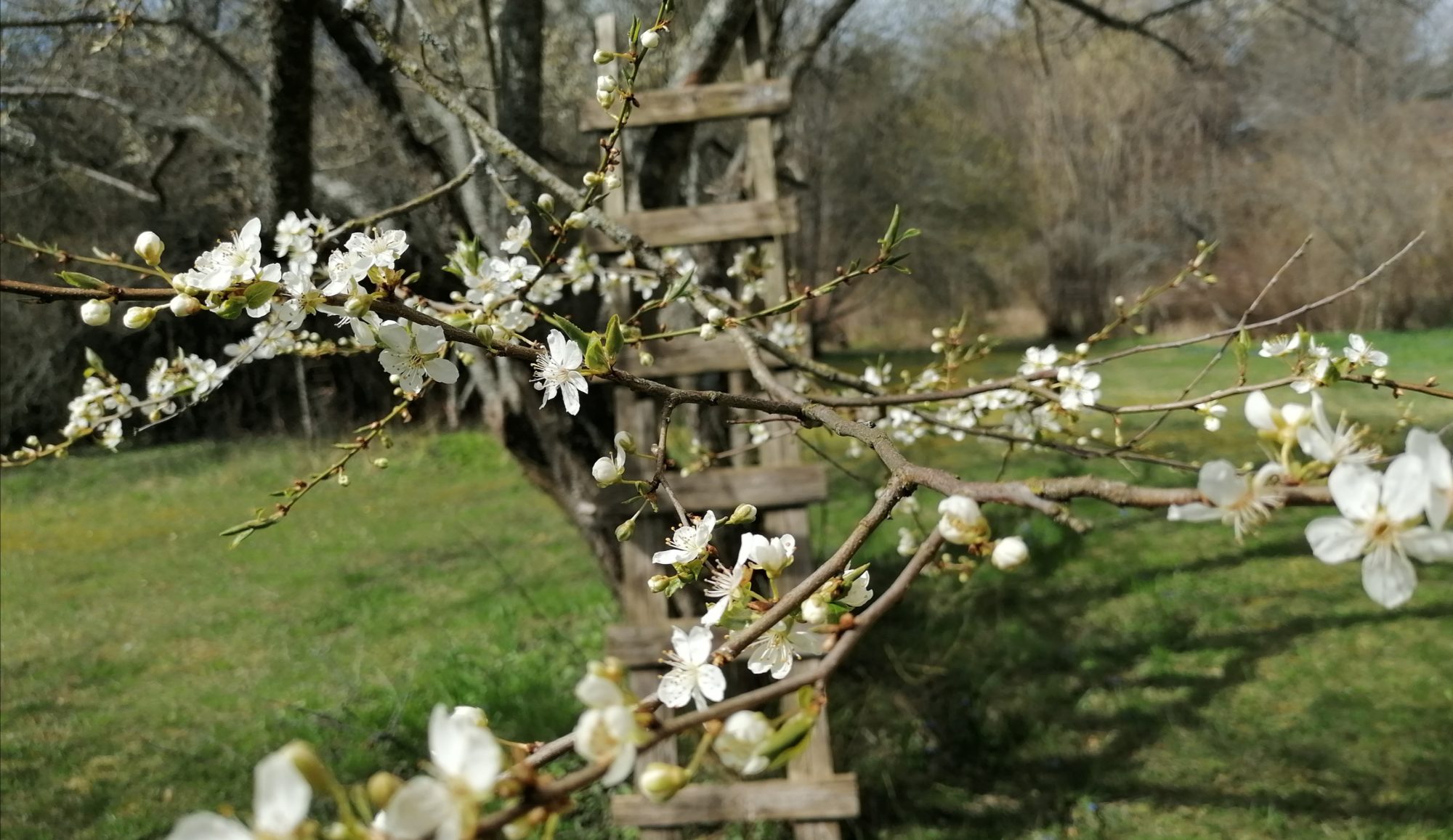 Valokuvaaja: Heidi Limnell