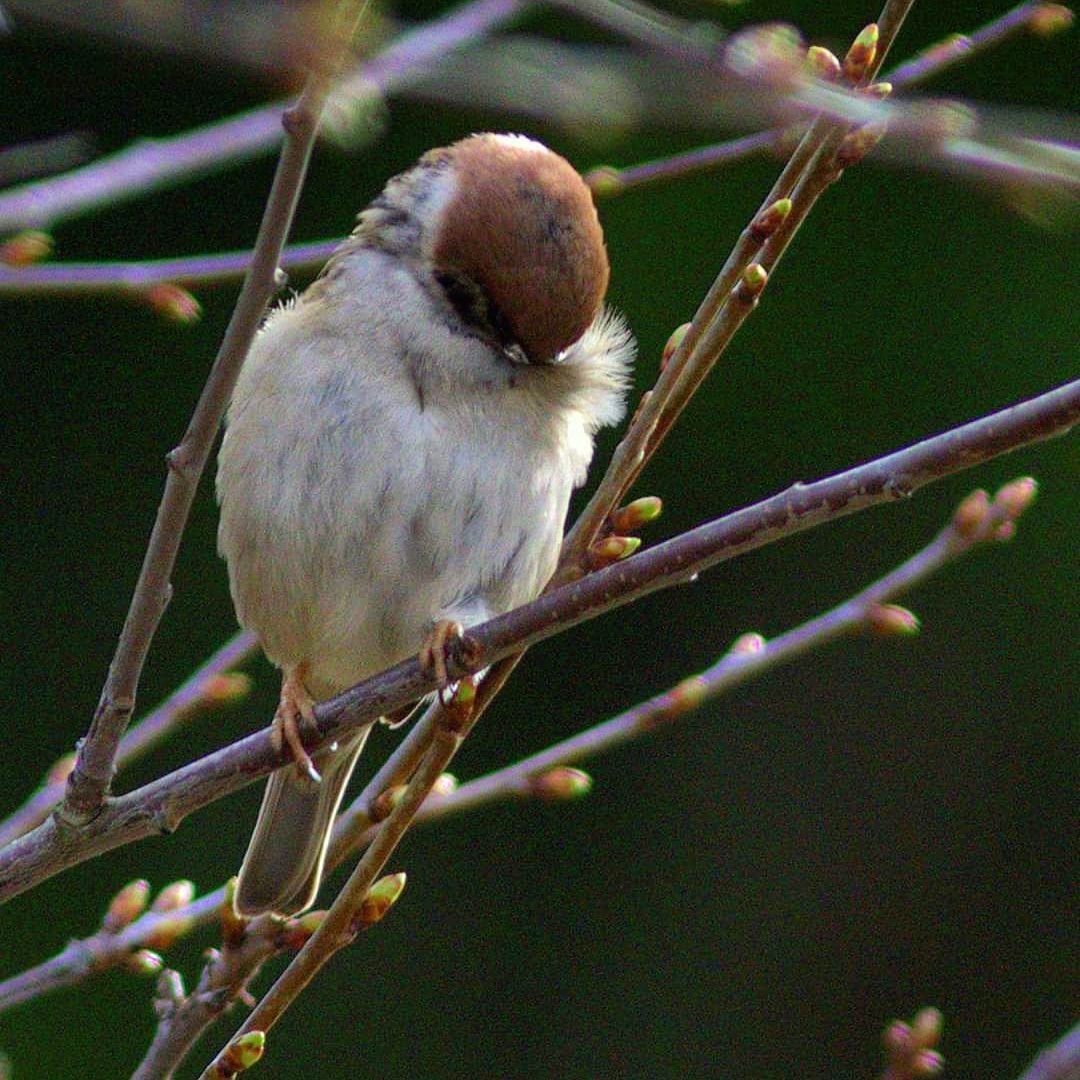 Valokuvaaja: Tapio Keinonen