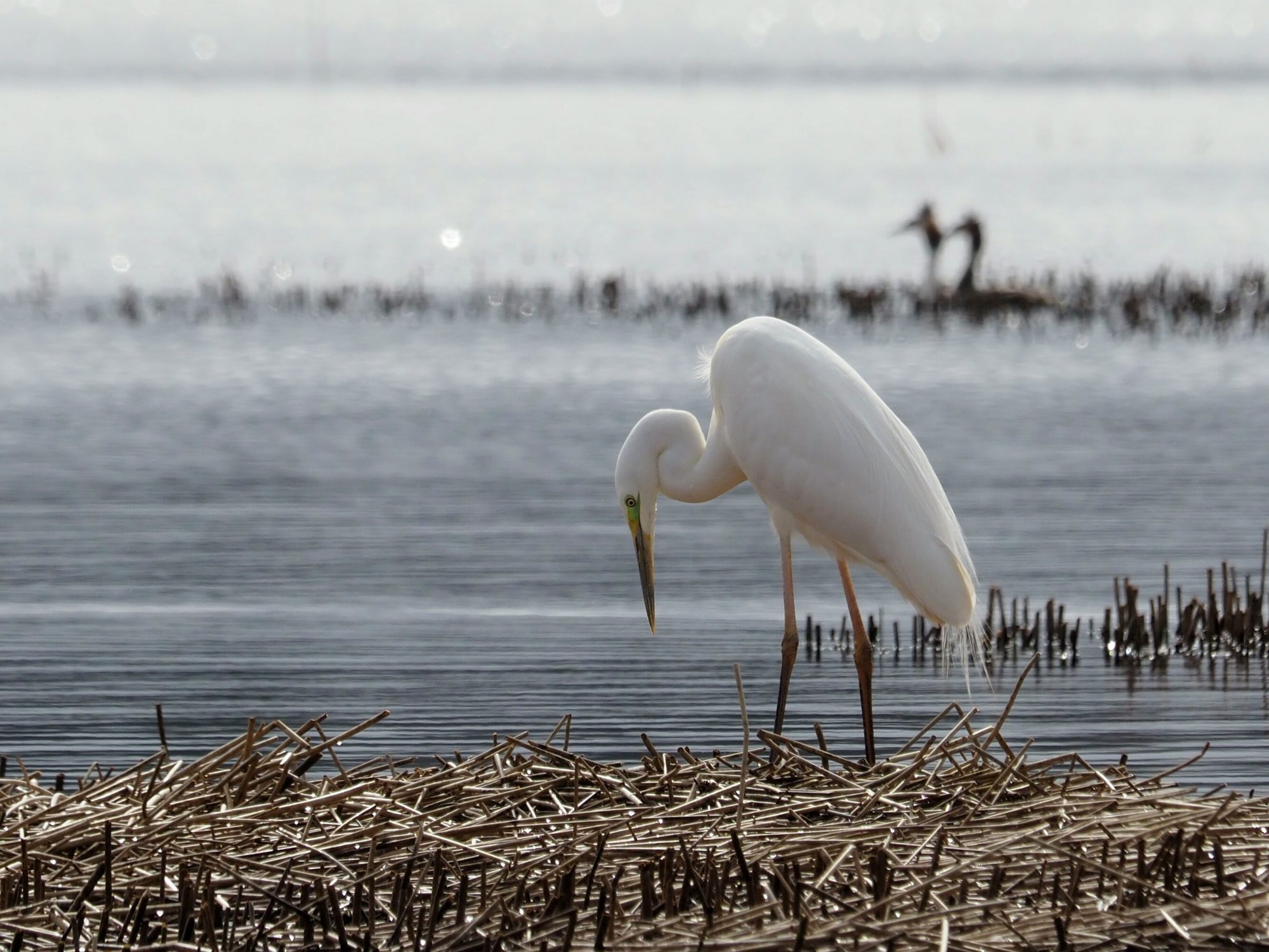 Valokuvaaja: Irma Mikkola