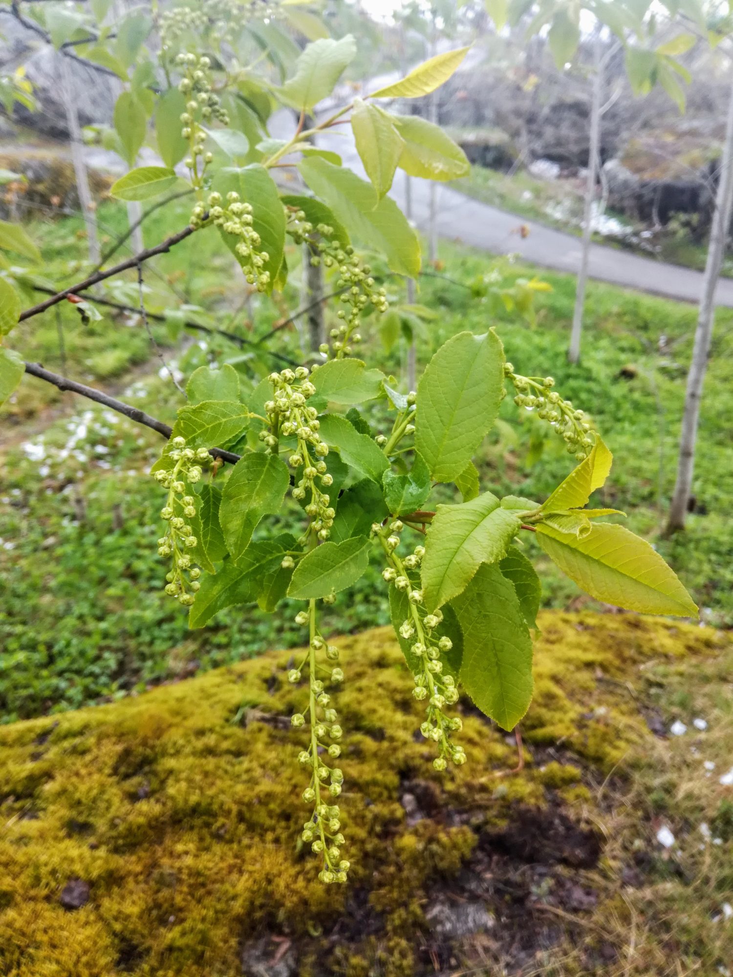 Valokuvaaja: Marketta Kokko Valokuvaaja: Marketta Kokko