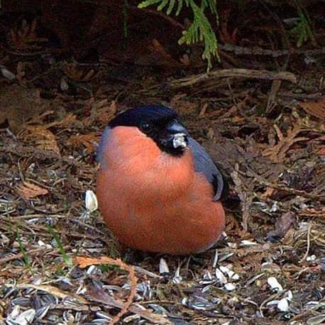 Valokuvaaja: Tapio Keinonen
