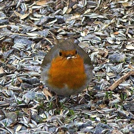 Valokuvaaja: Tapio Keinonen