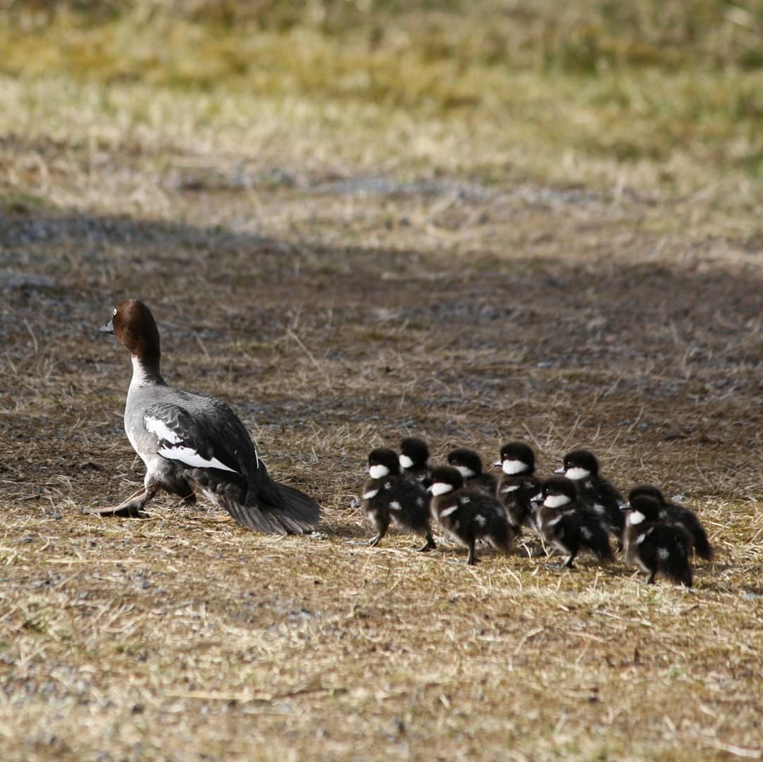 Valokuvaaja: Marjo Kaisko