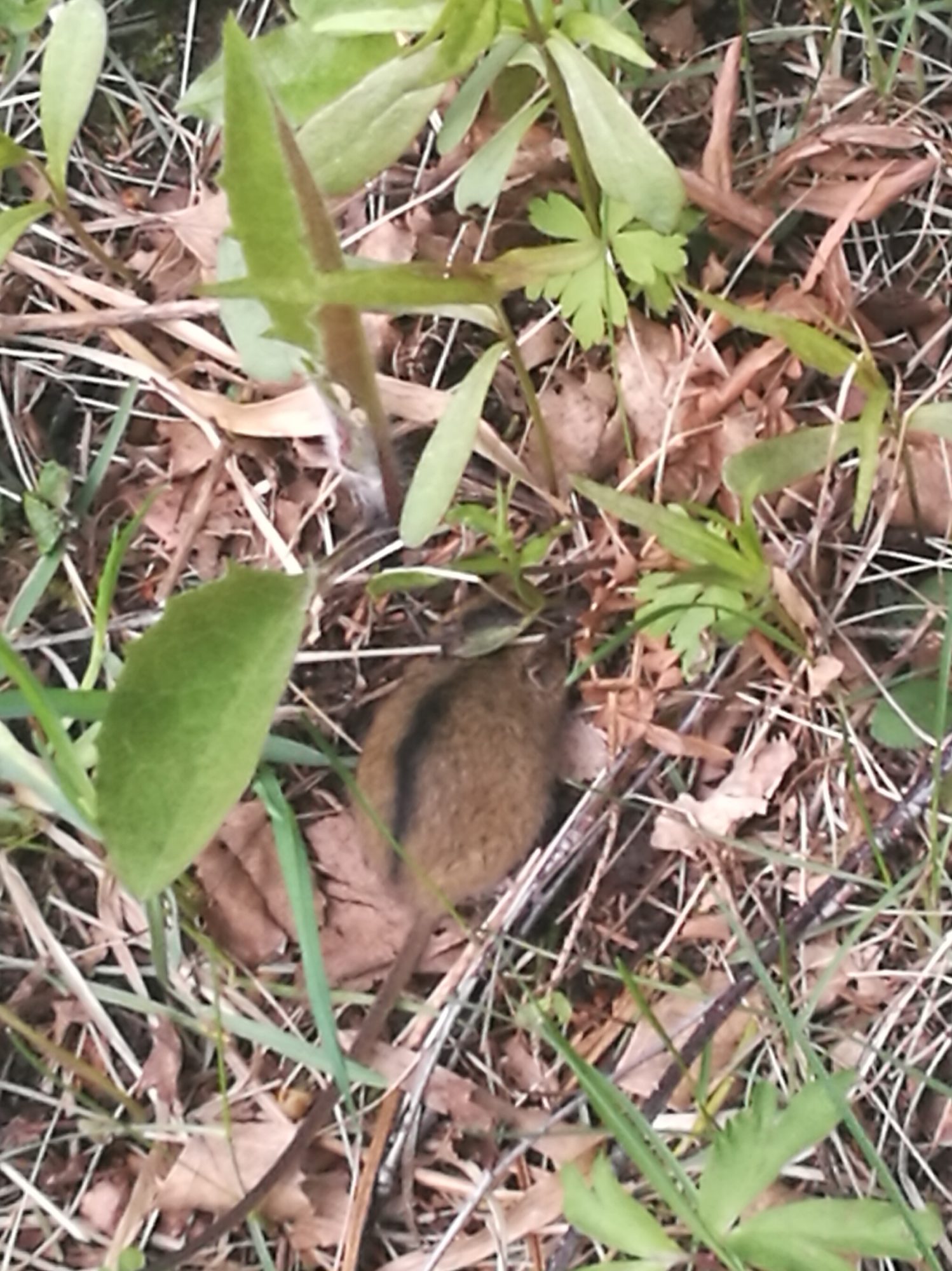 Valokuvaaja: Taina Ketonen